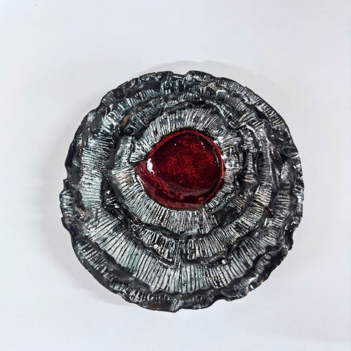 Himani Agarwal 3.jpg