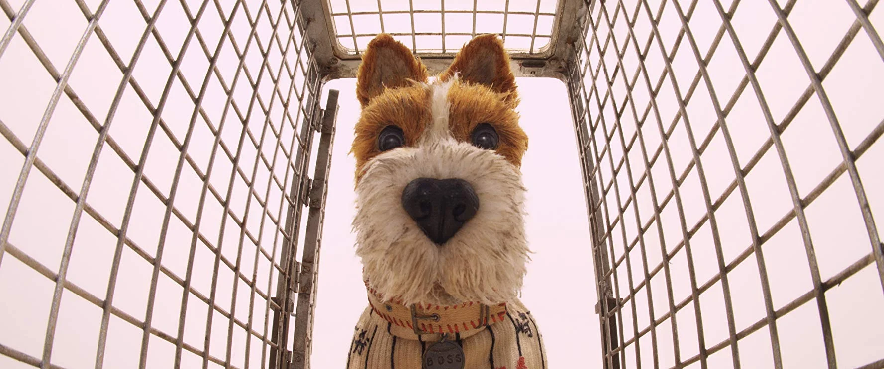 Isle of Dogs.jpg