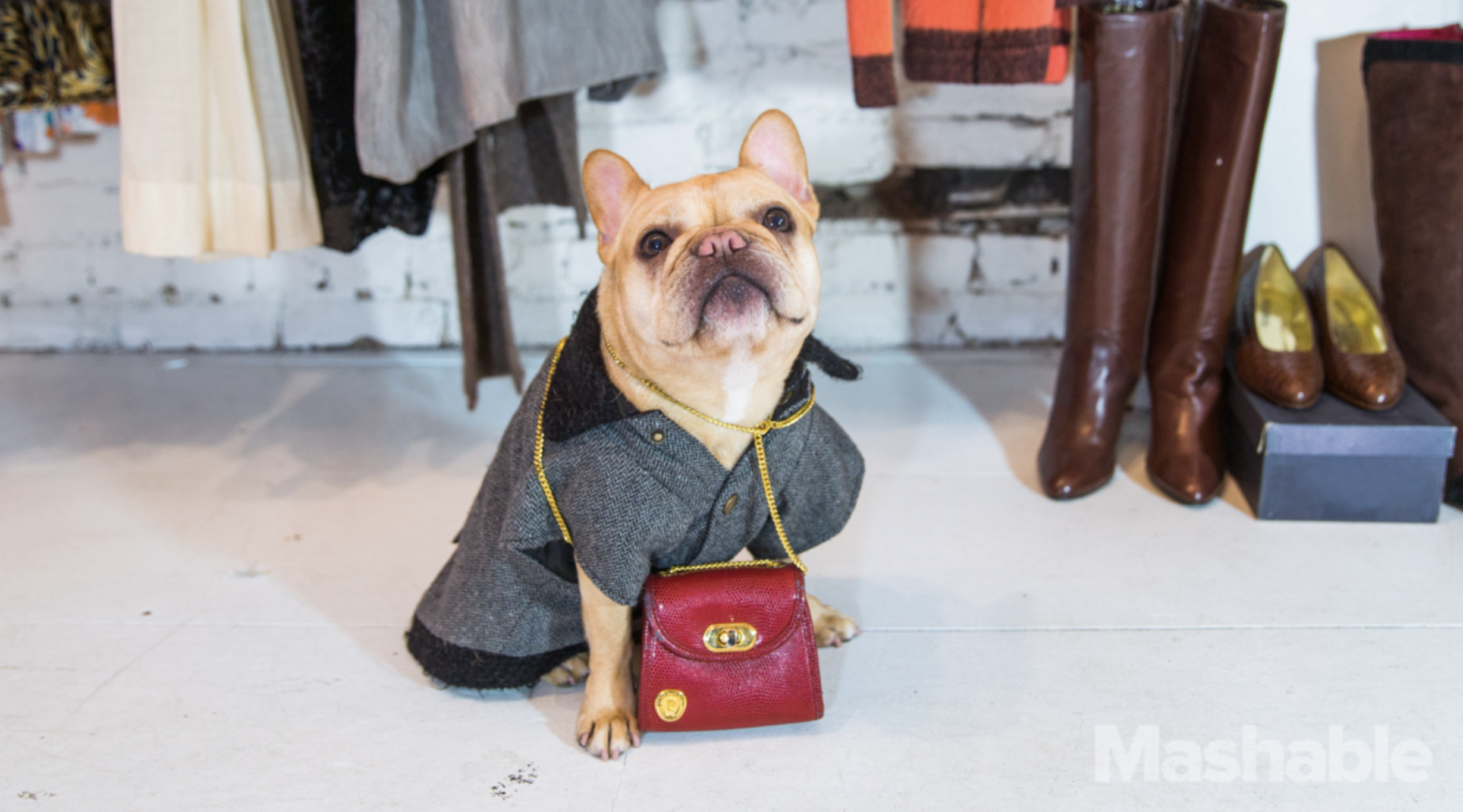 A NYFW interview with Luella, the 'Fashion Frenchie'