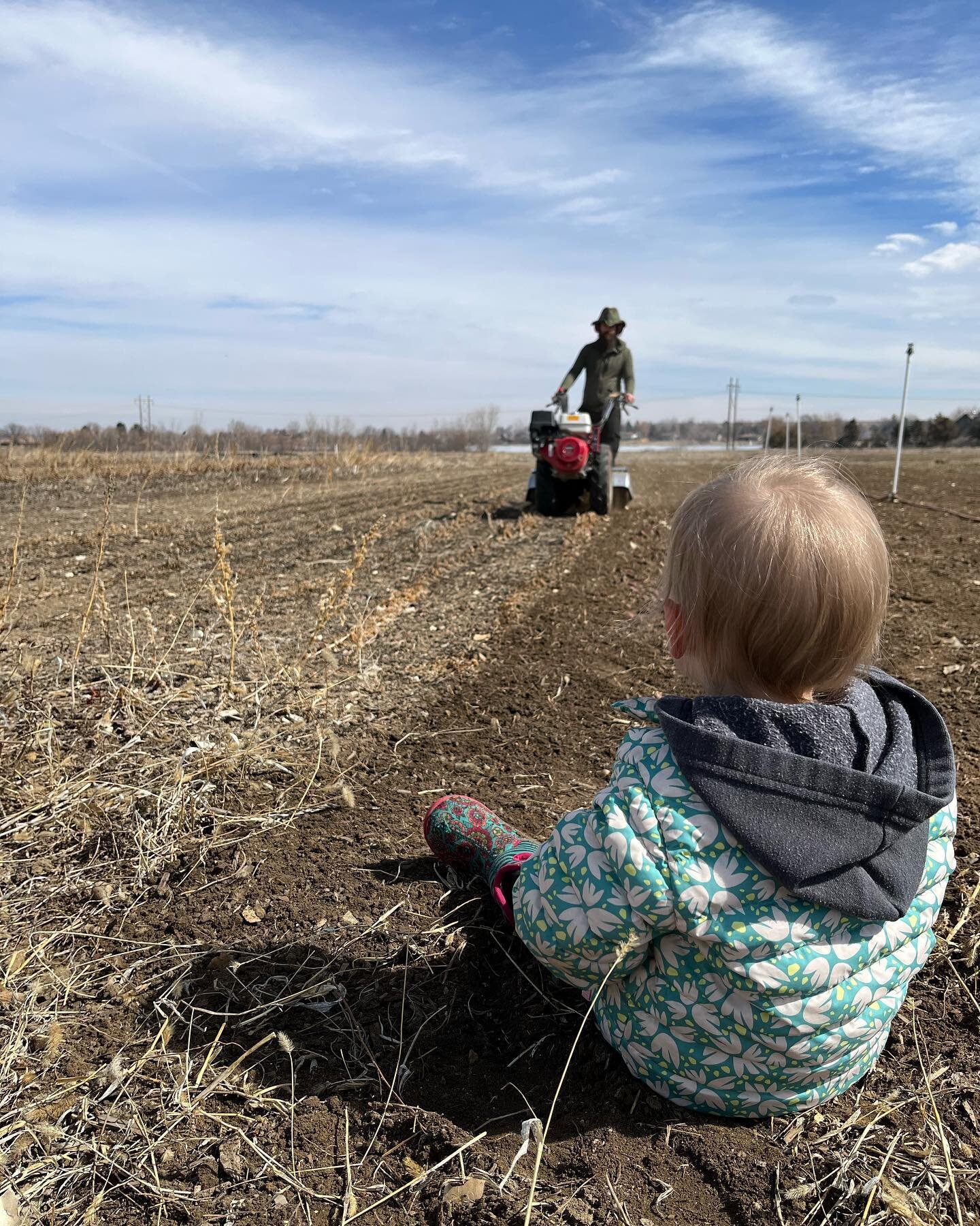 First field day of 2023! It felt so good.
The little bit warmth is incredible. We start the season off by performing a shallow till on the field and adding compost before the planting begins.
Here we go! Plus there is overwintered spinach that is sta