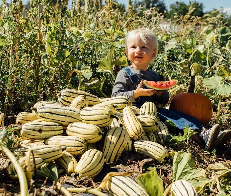 There are only a few more weeks that we will be at market!! It&rsquo;s a sweet time where summer veggies  overlap with fall&rsquo;s goodness &hearts;️ come stock up because soon it will all be gone!!