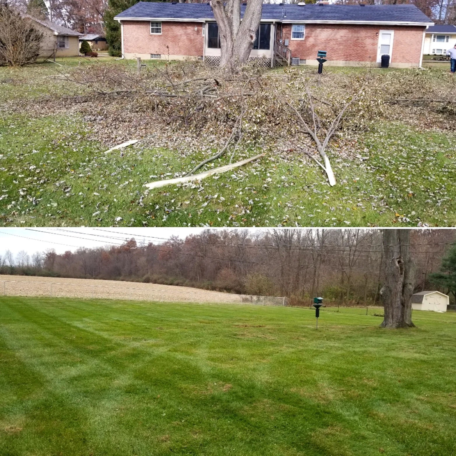 Here we hauled out debris from an ice storm as well as bagged and hauled away leafs during the fall!