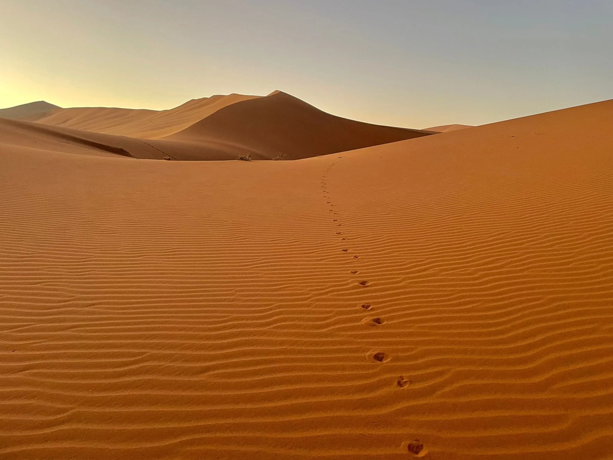 No resolutions, no goals