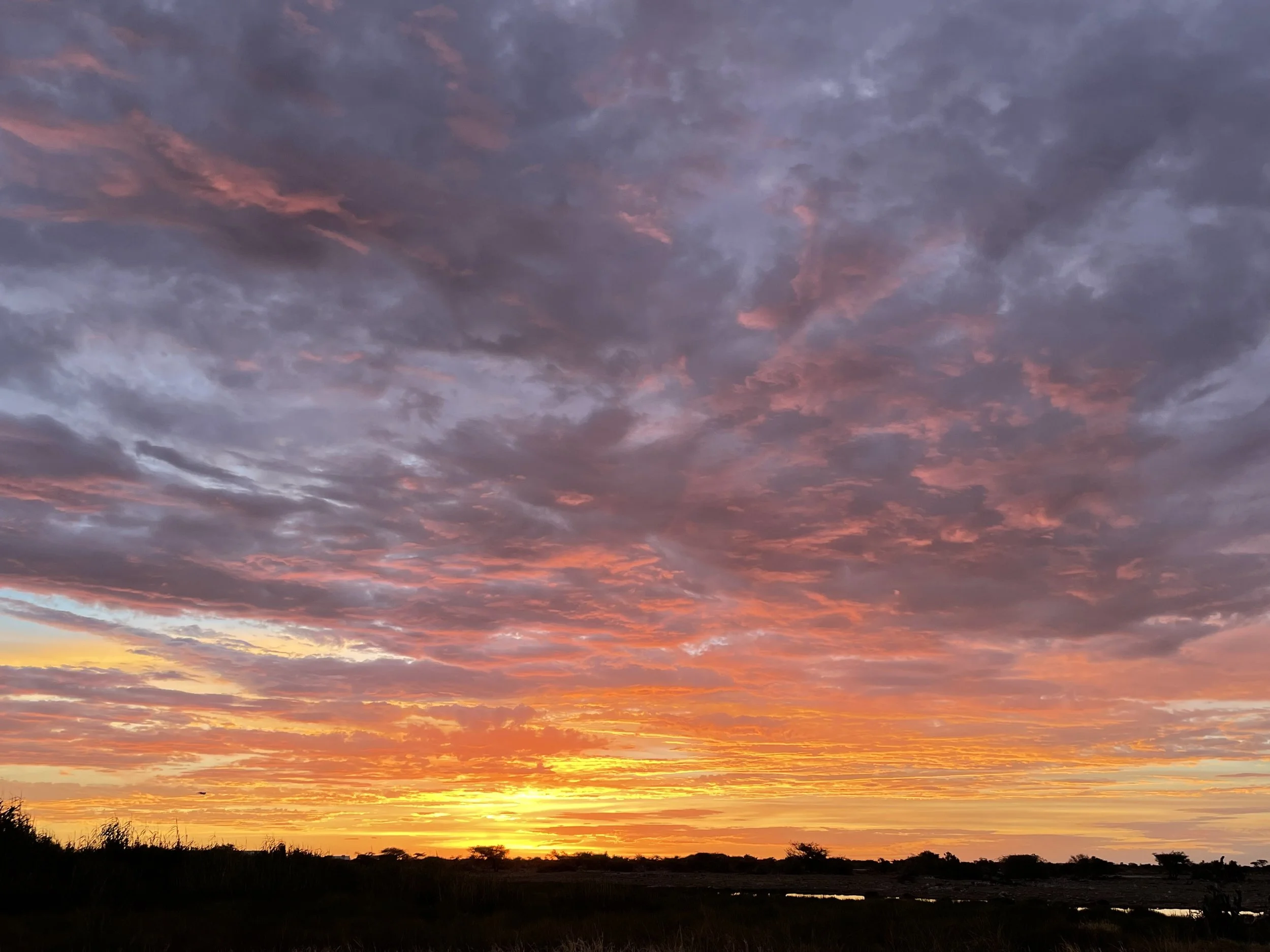 Don’t settle for average…and bollocks to ‘humility’