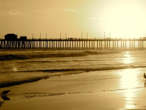 Skerik - HB Pier 480px long.jpeg