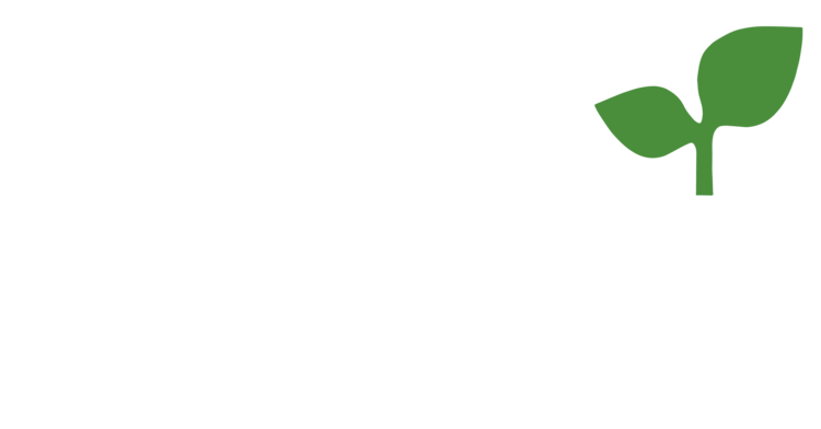 Essex Market
