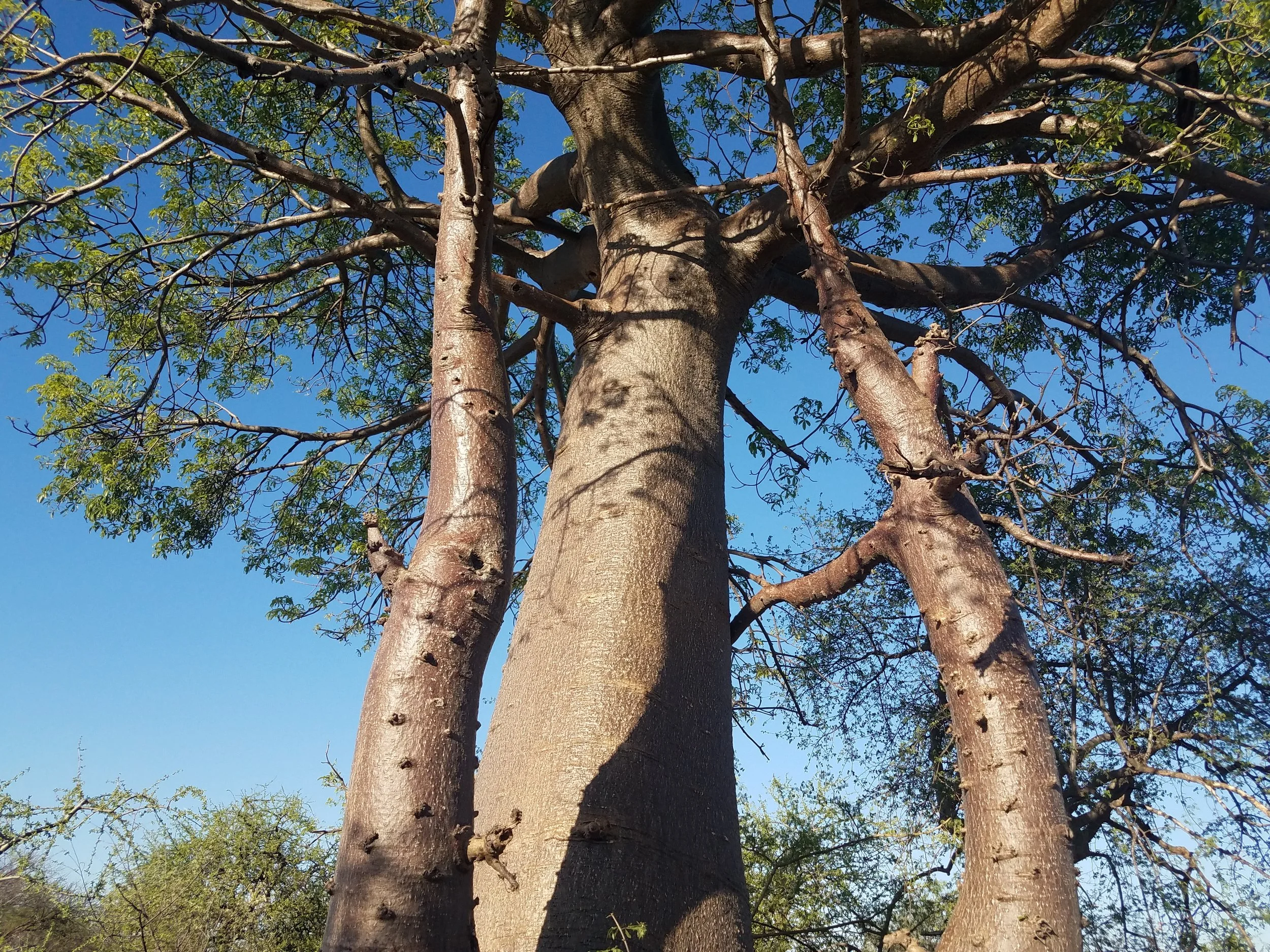 20181117_165307.jpg