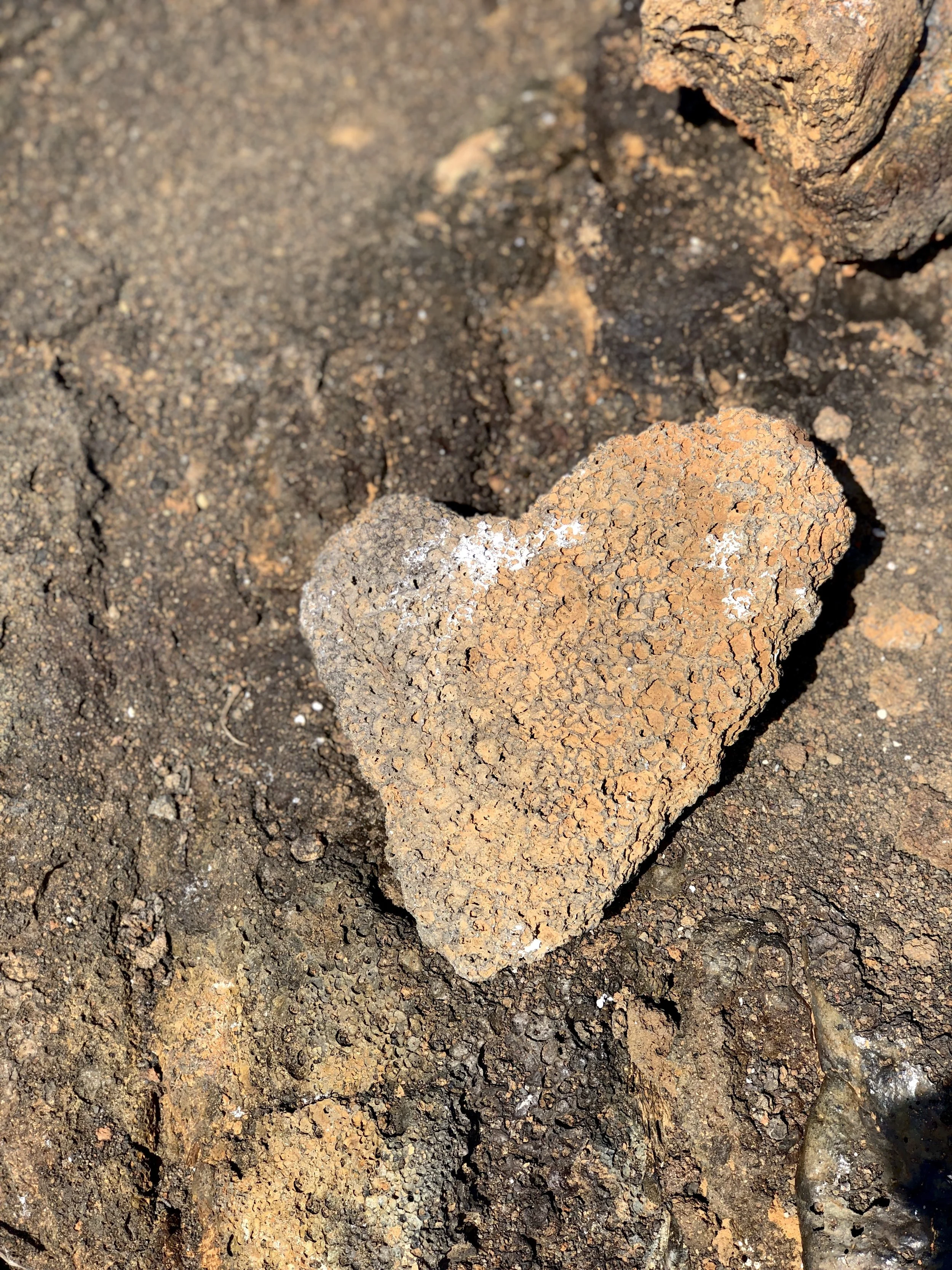 Practicing Hope week 5 - The Other Side