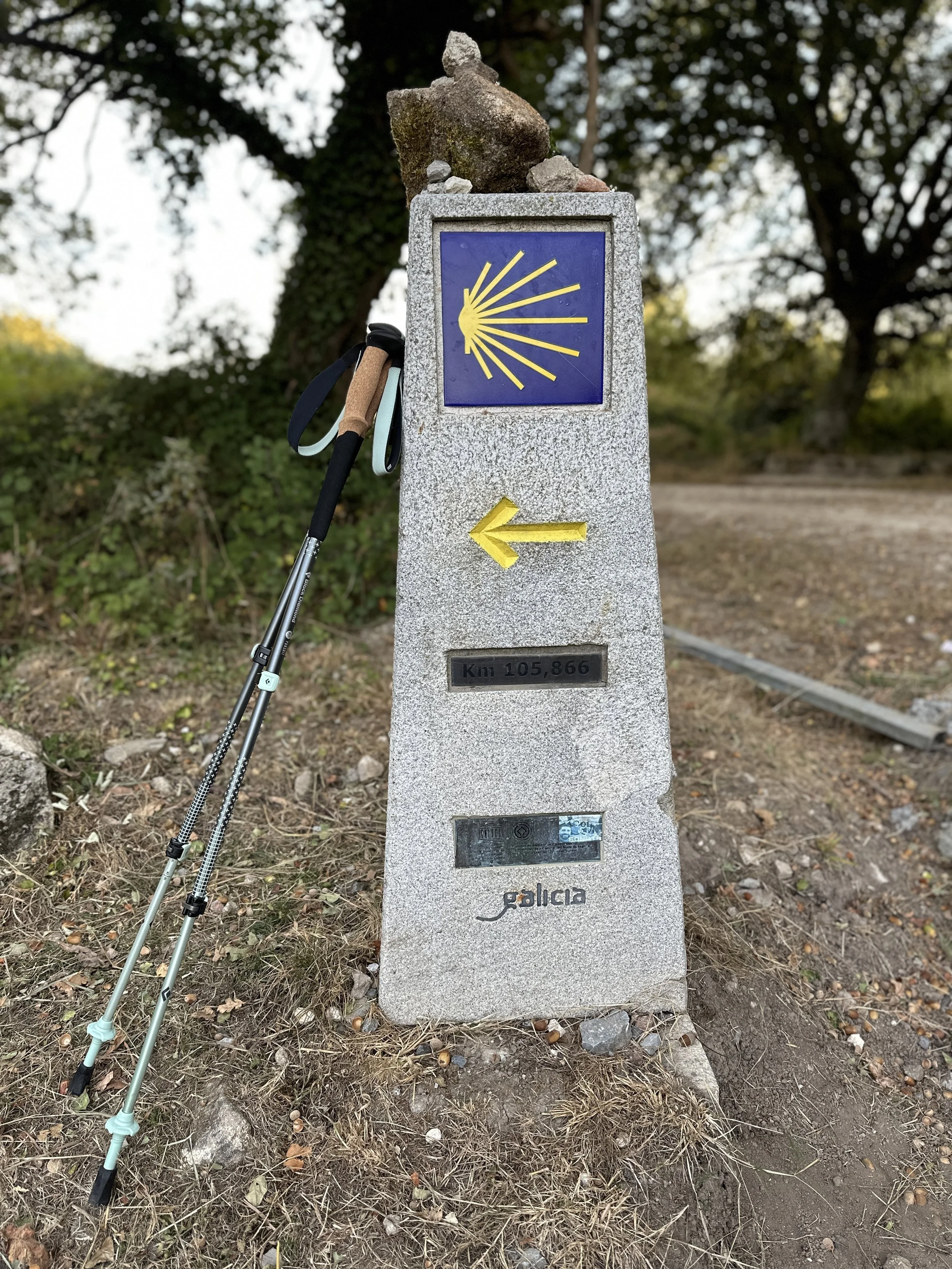 On the Camino - day 1