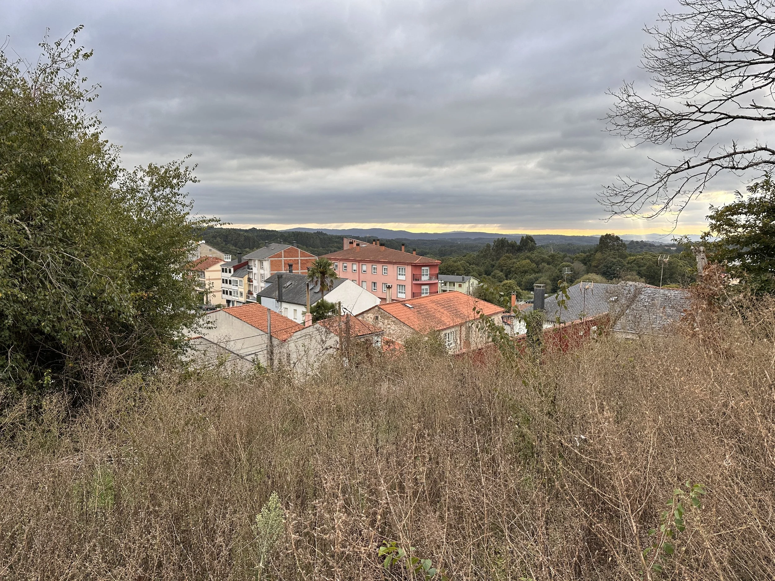 IMG_0121.jpeg