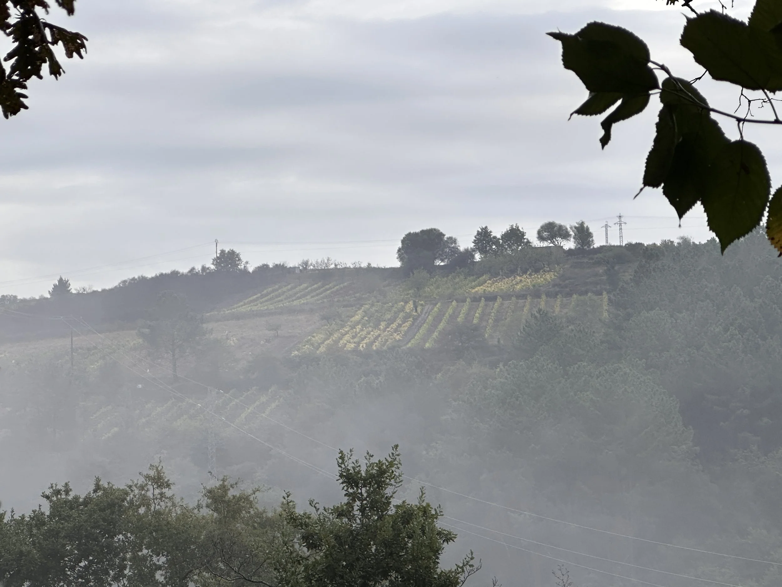 On the Camino - day 2