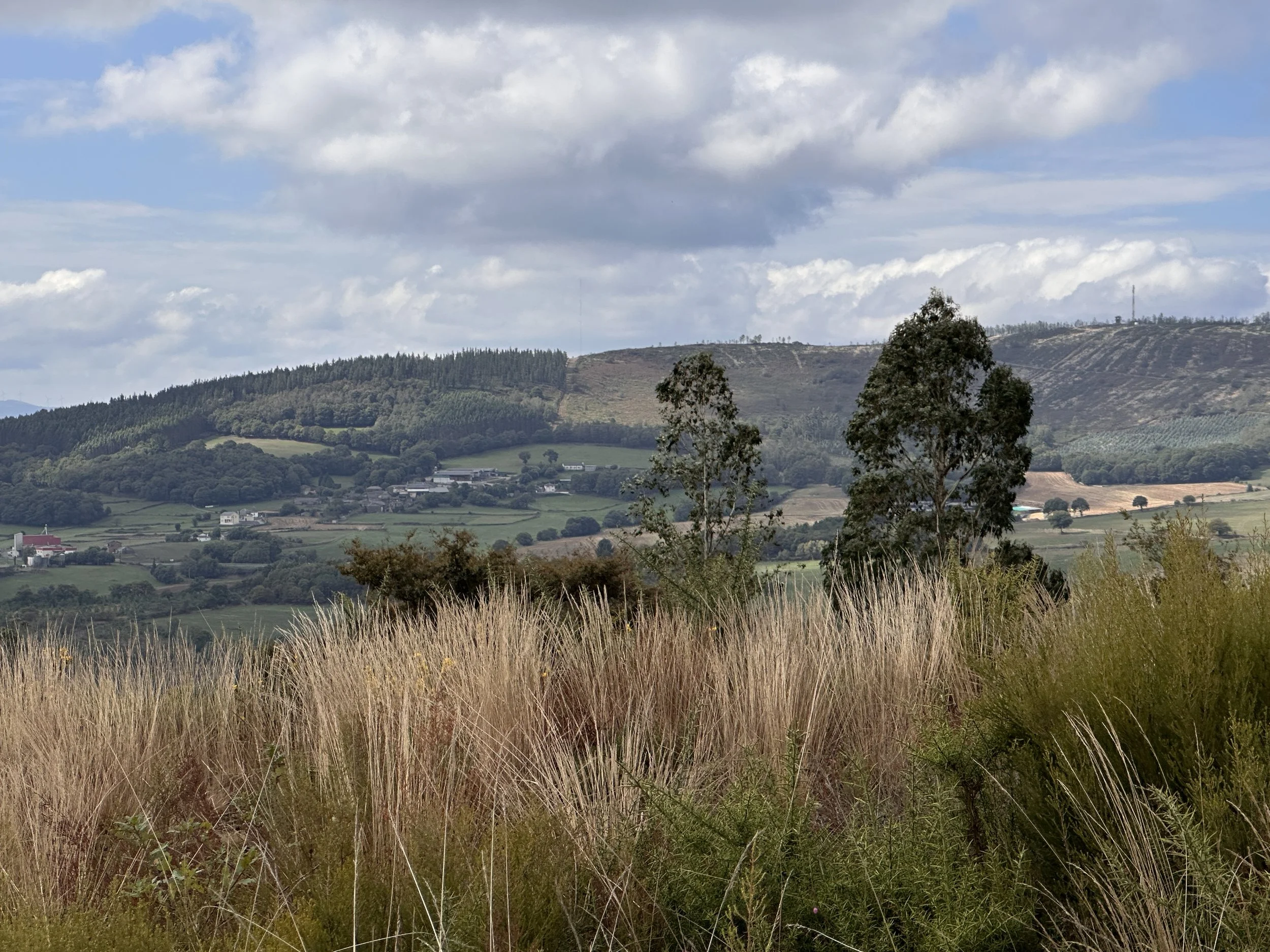 On the Camino - day 3