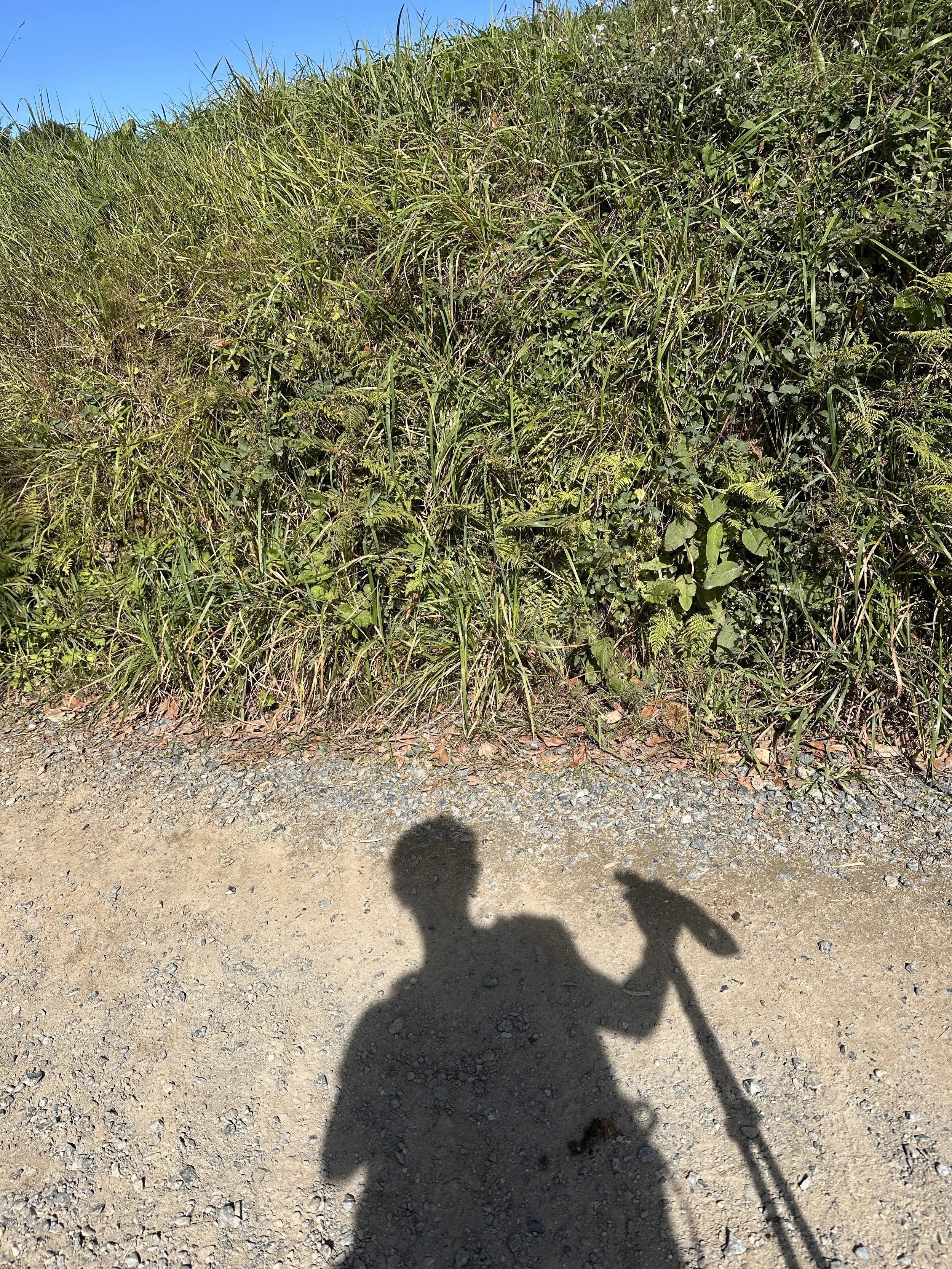 On the Camino - day 4