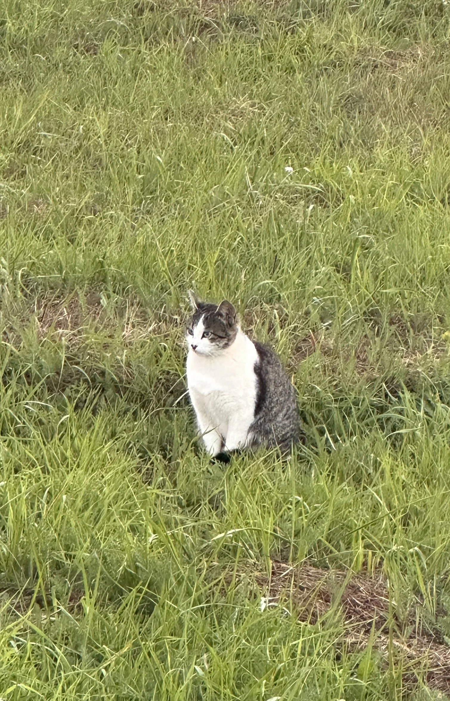 IMG_0215.jpeg