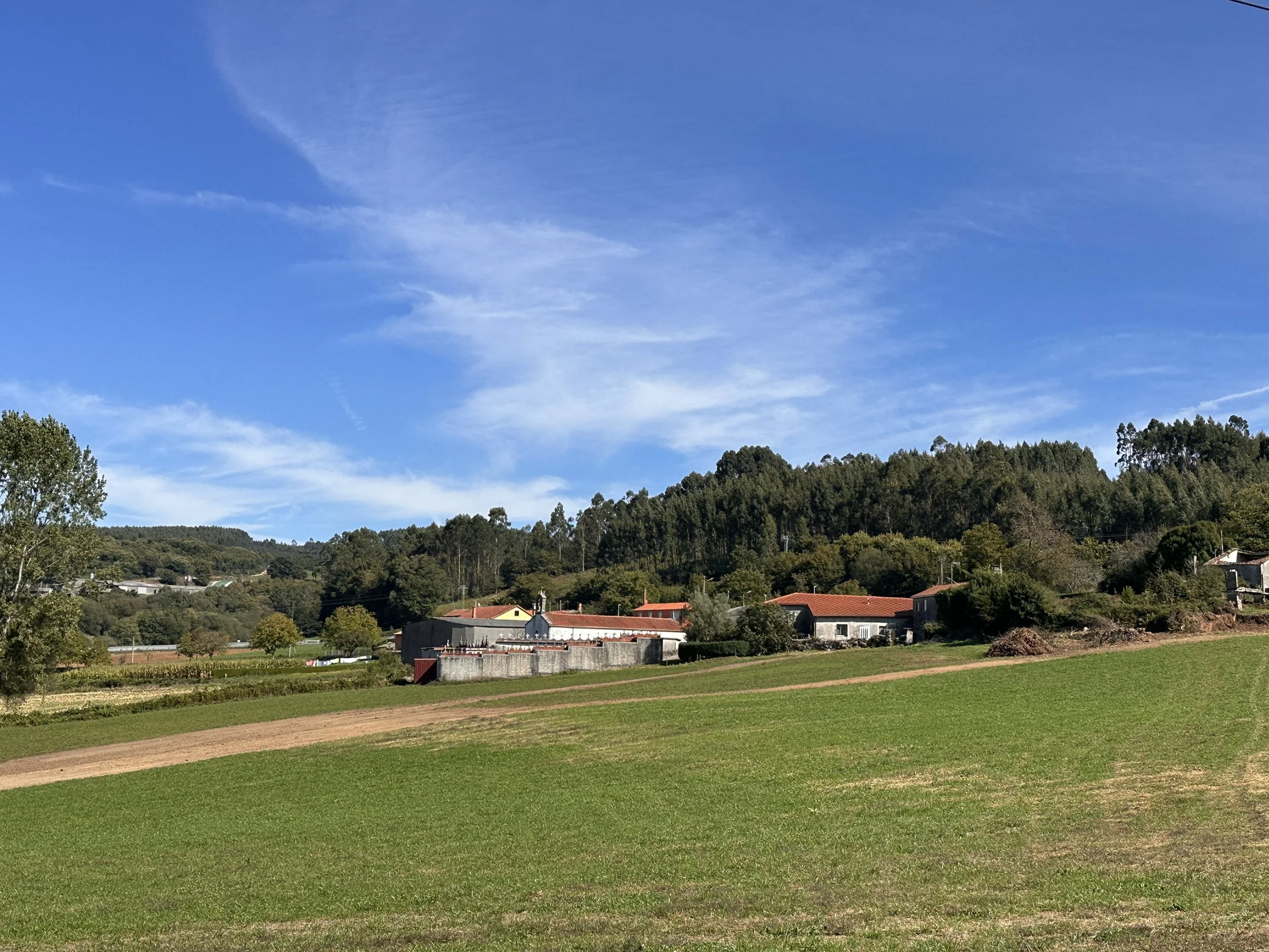 IMG_0256.jpeg