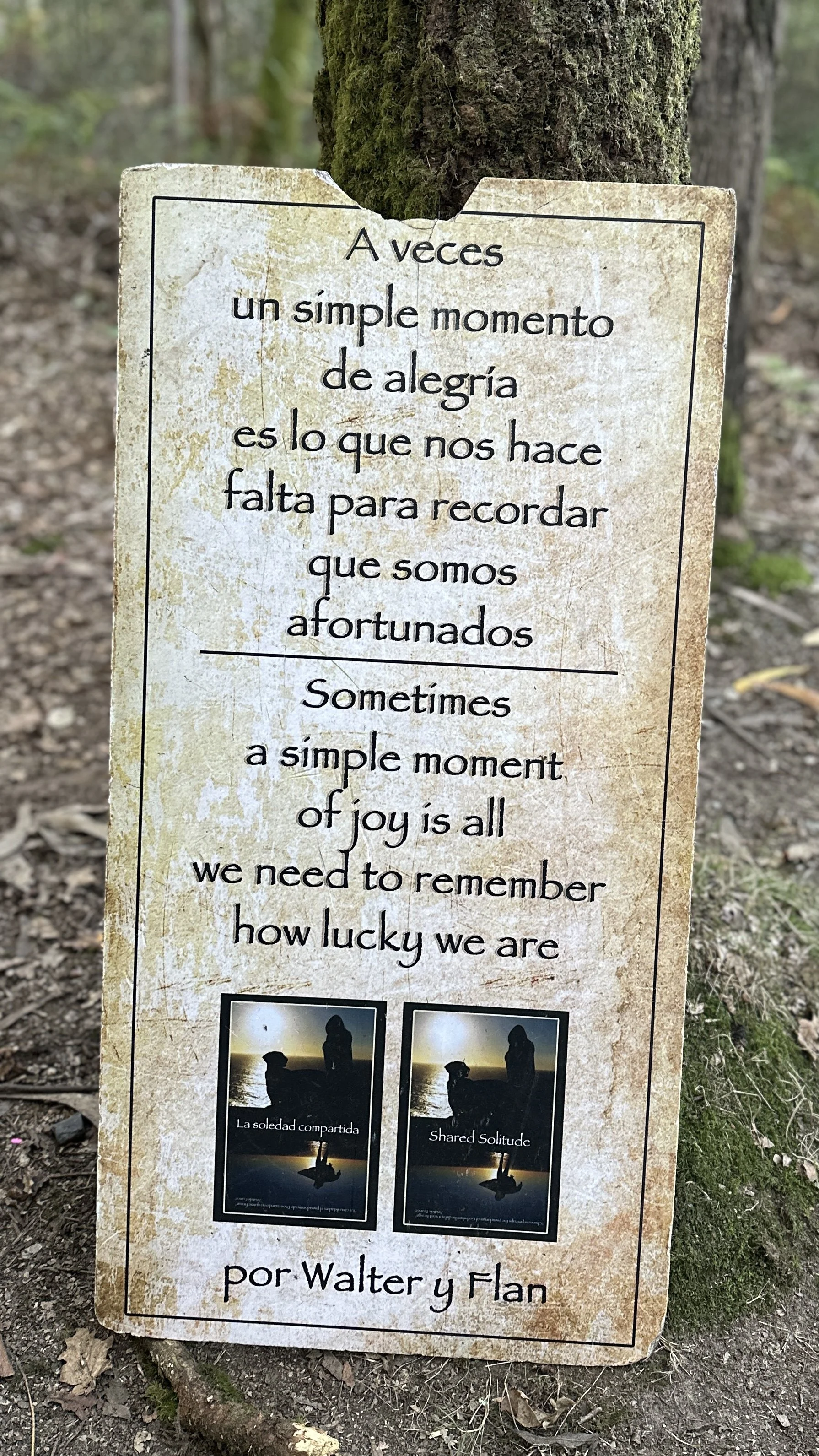 On the Camino - day 6