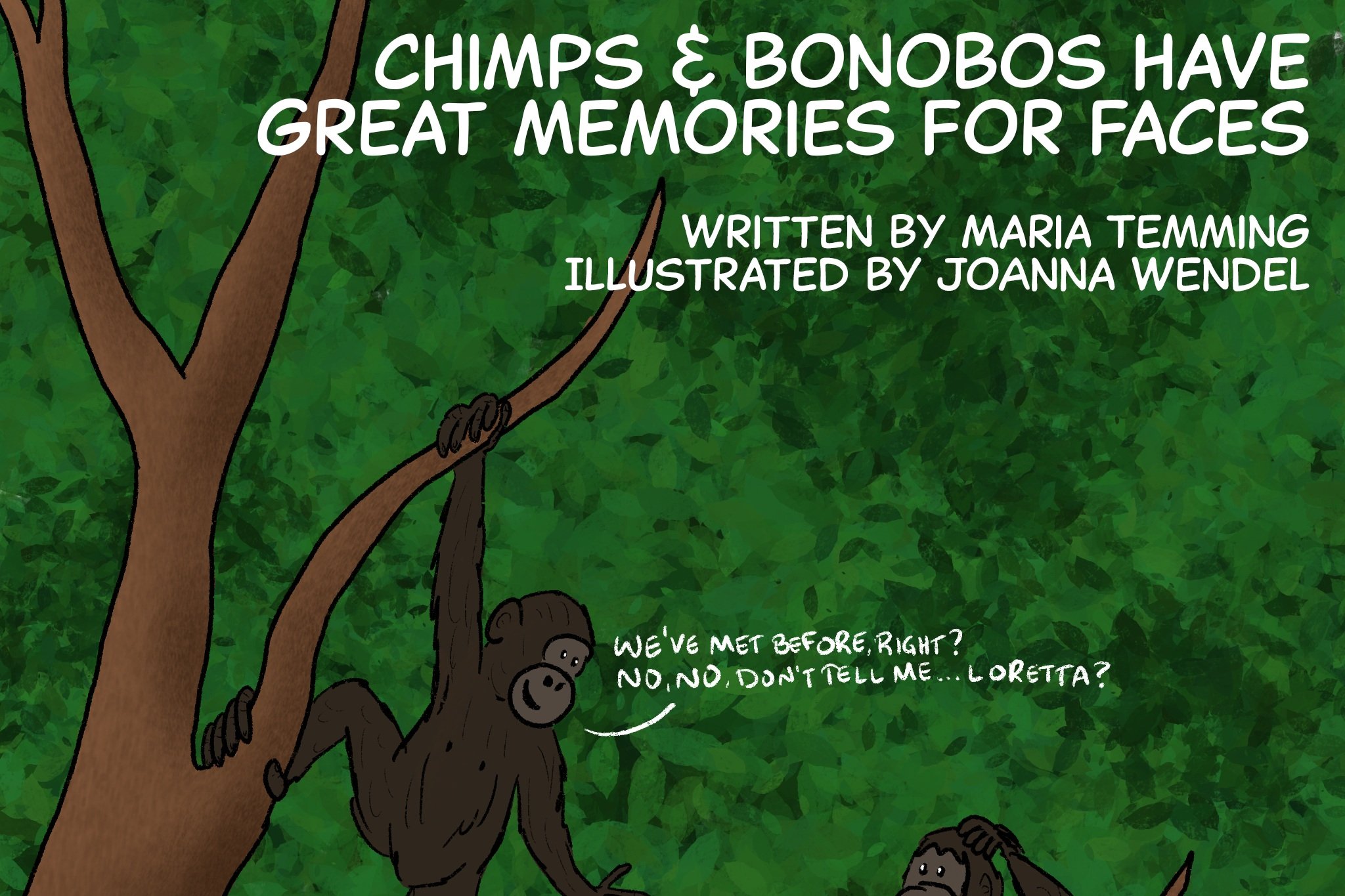Chimps &amp; Bonobos have great memories for faces