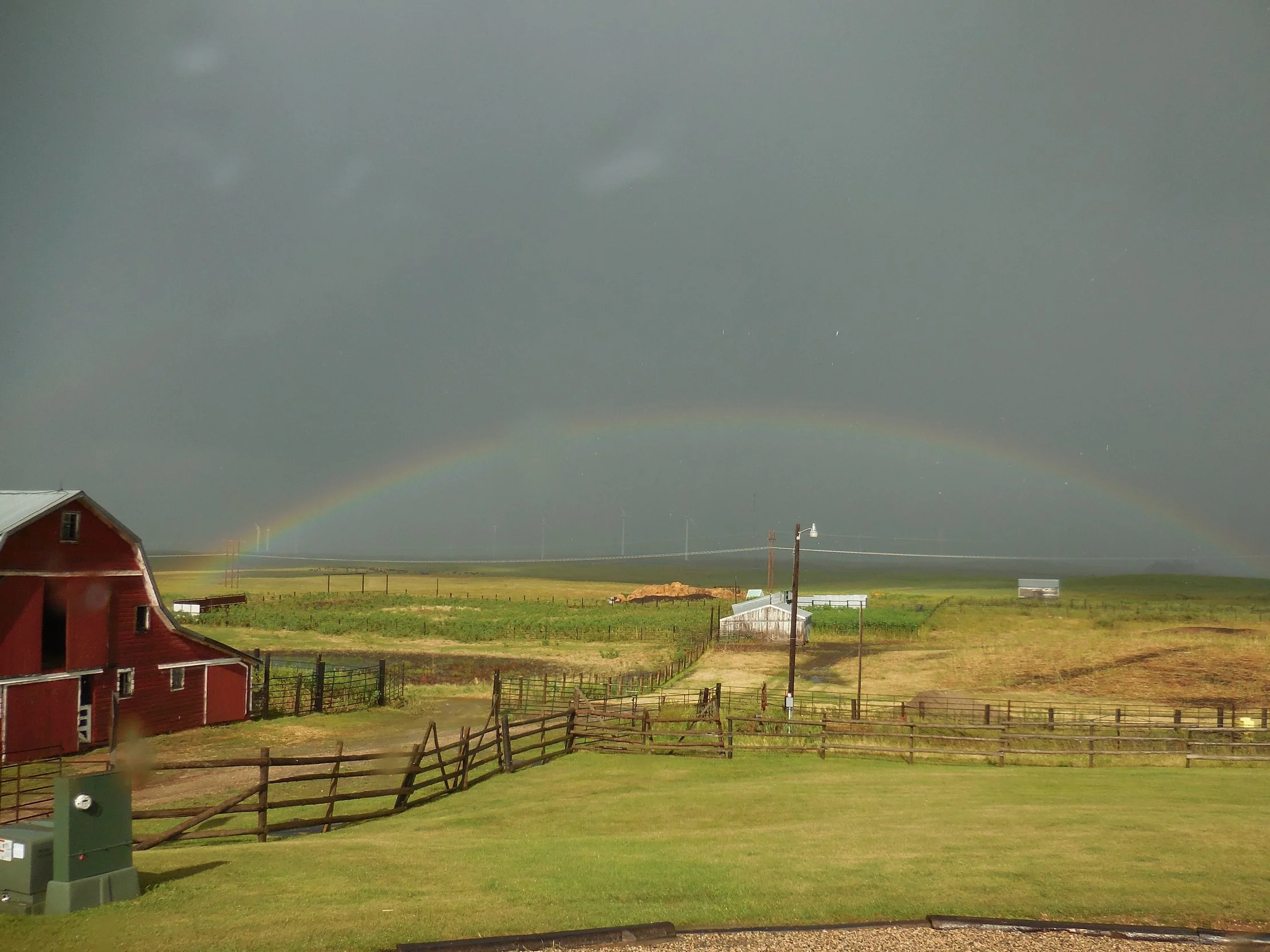 Rainbow