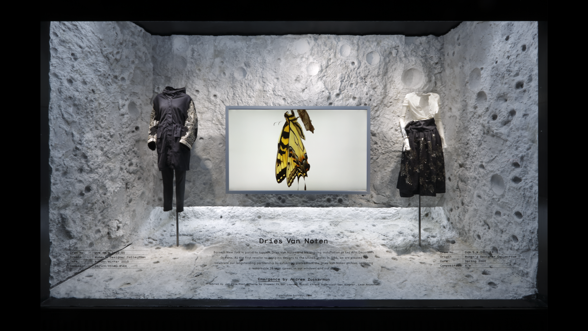 Emergence - Window Display