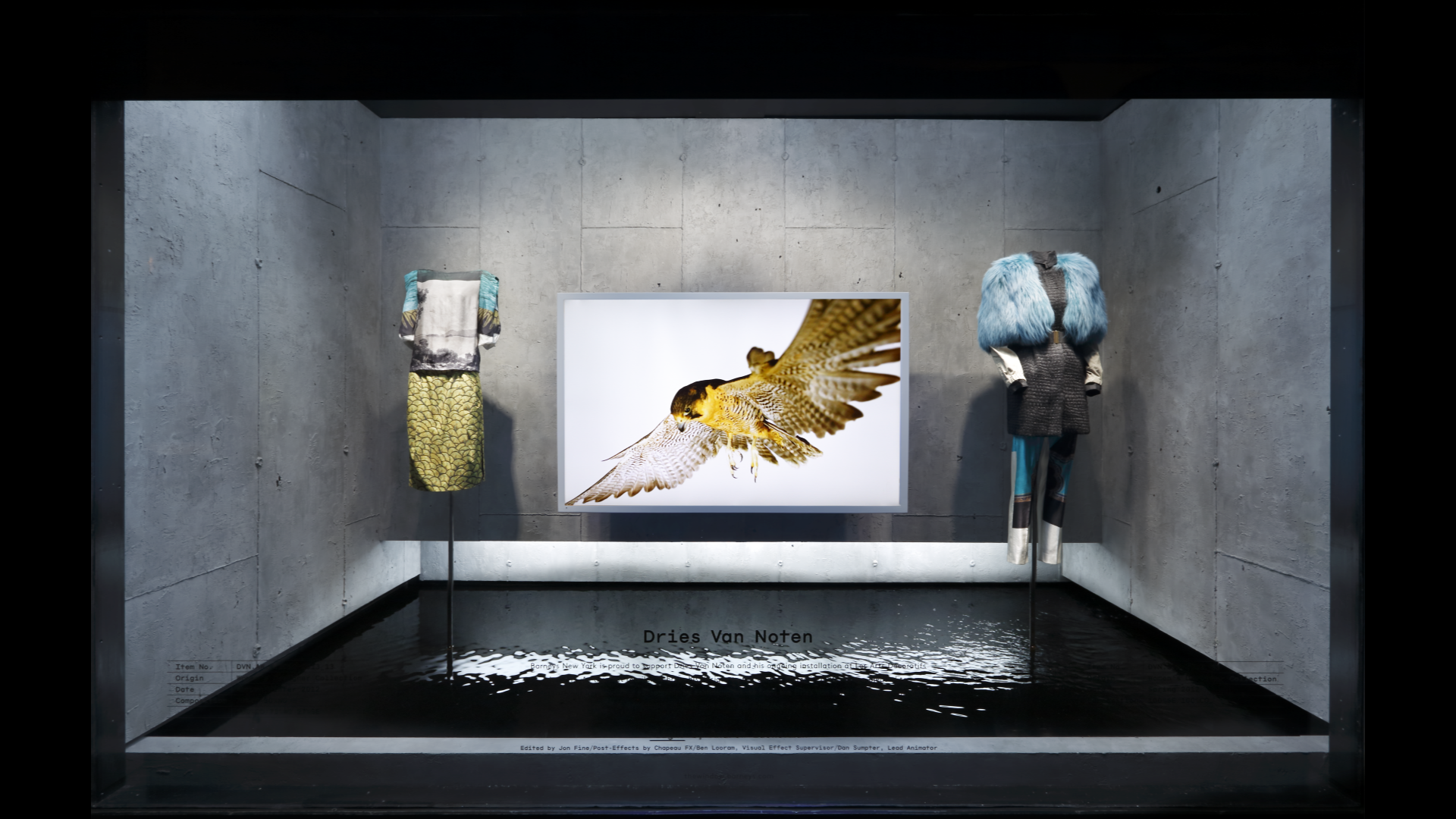 Flight - Window Display