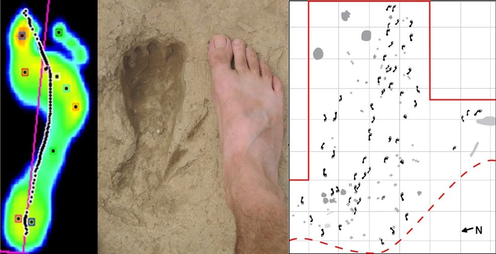 Early hominin social structure based on sexual dimorphism and group composition based on the Ileret footprint site