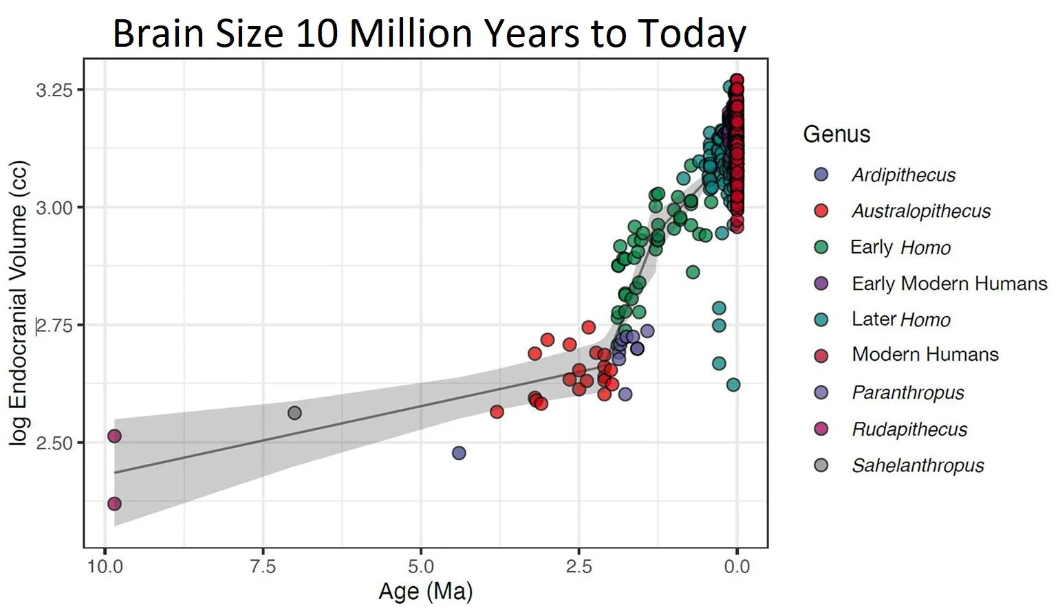 The evolution of modern human brain size
