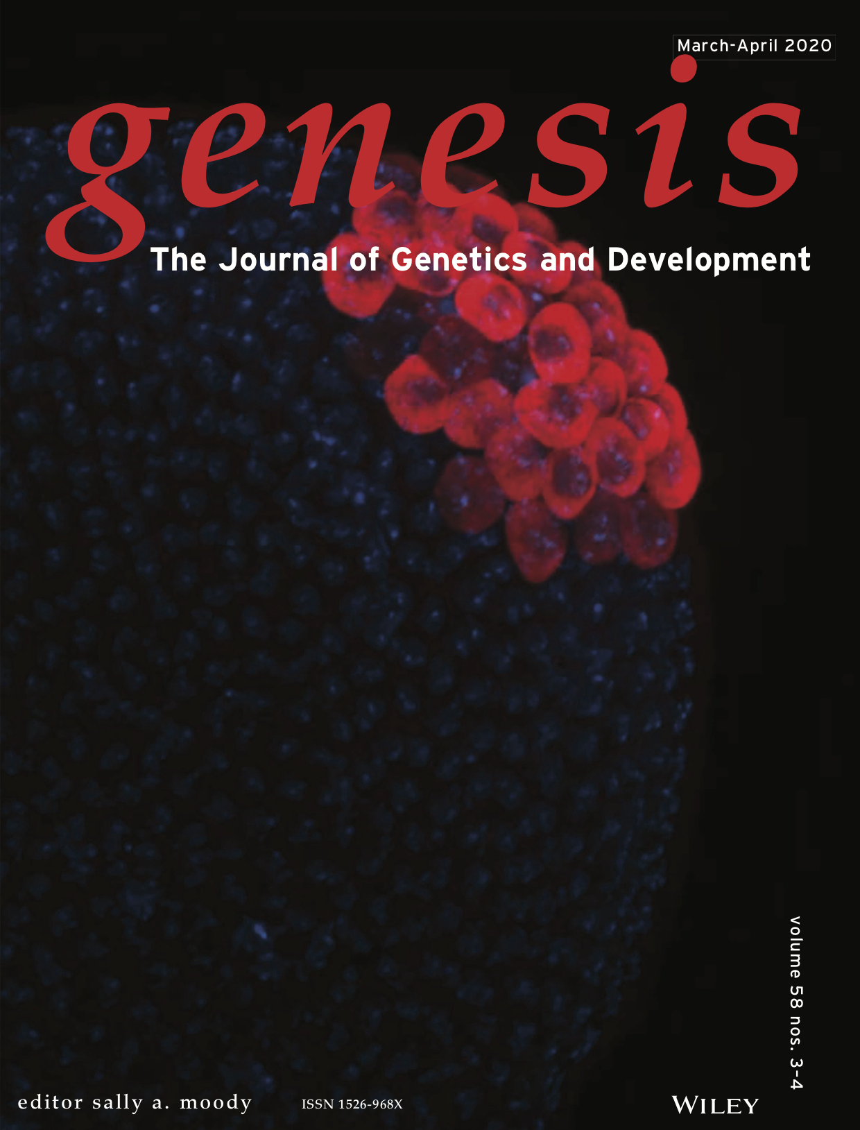  Junnan’s cover: Genesis. March-April 2020 