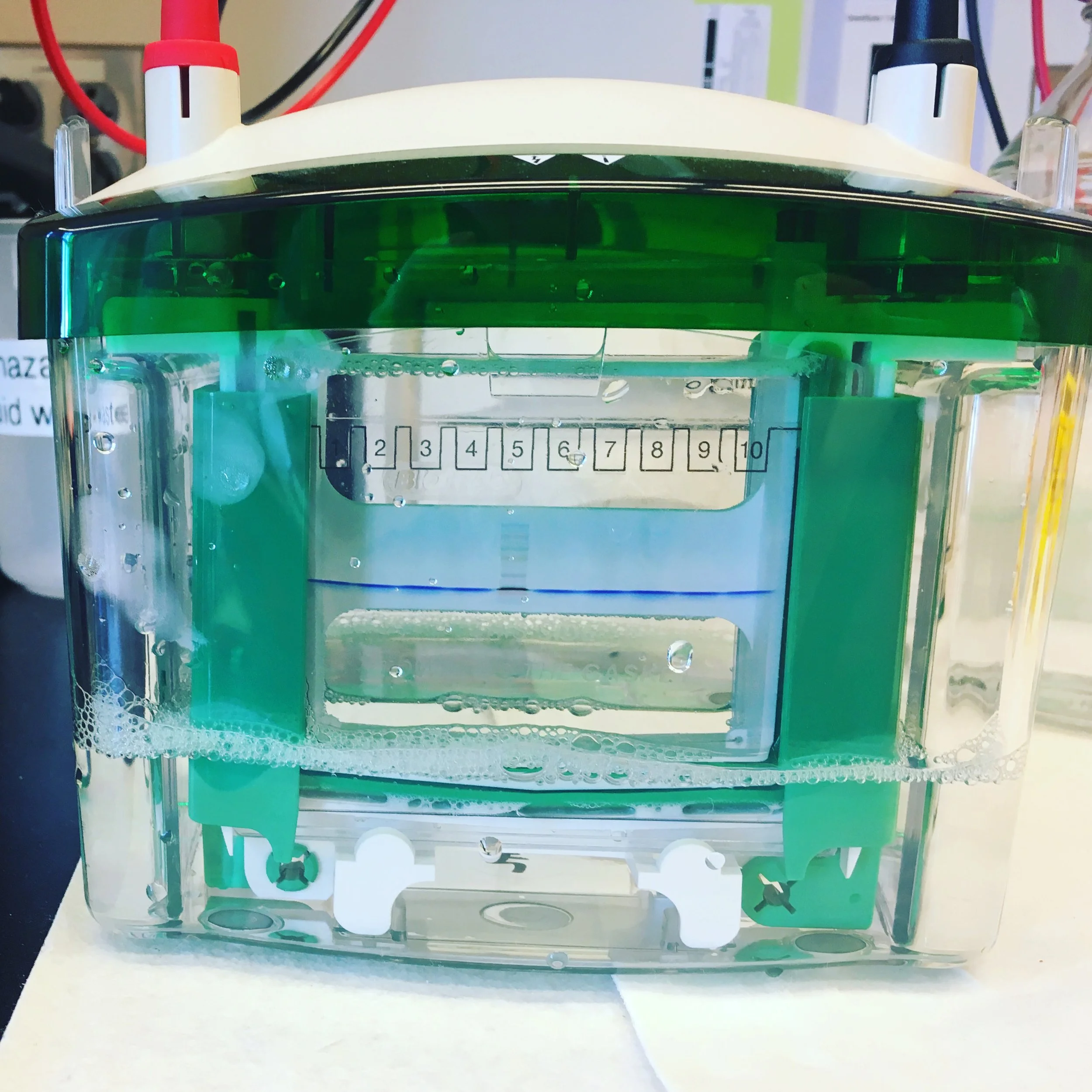 Mona Hamad - Research Specialist