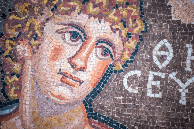Paphos Mosaic
