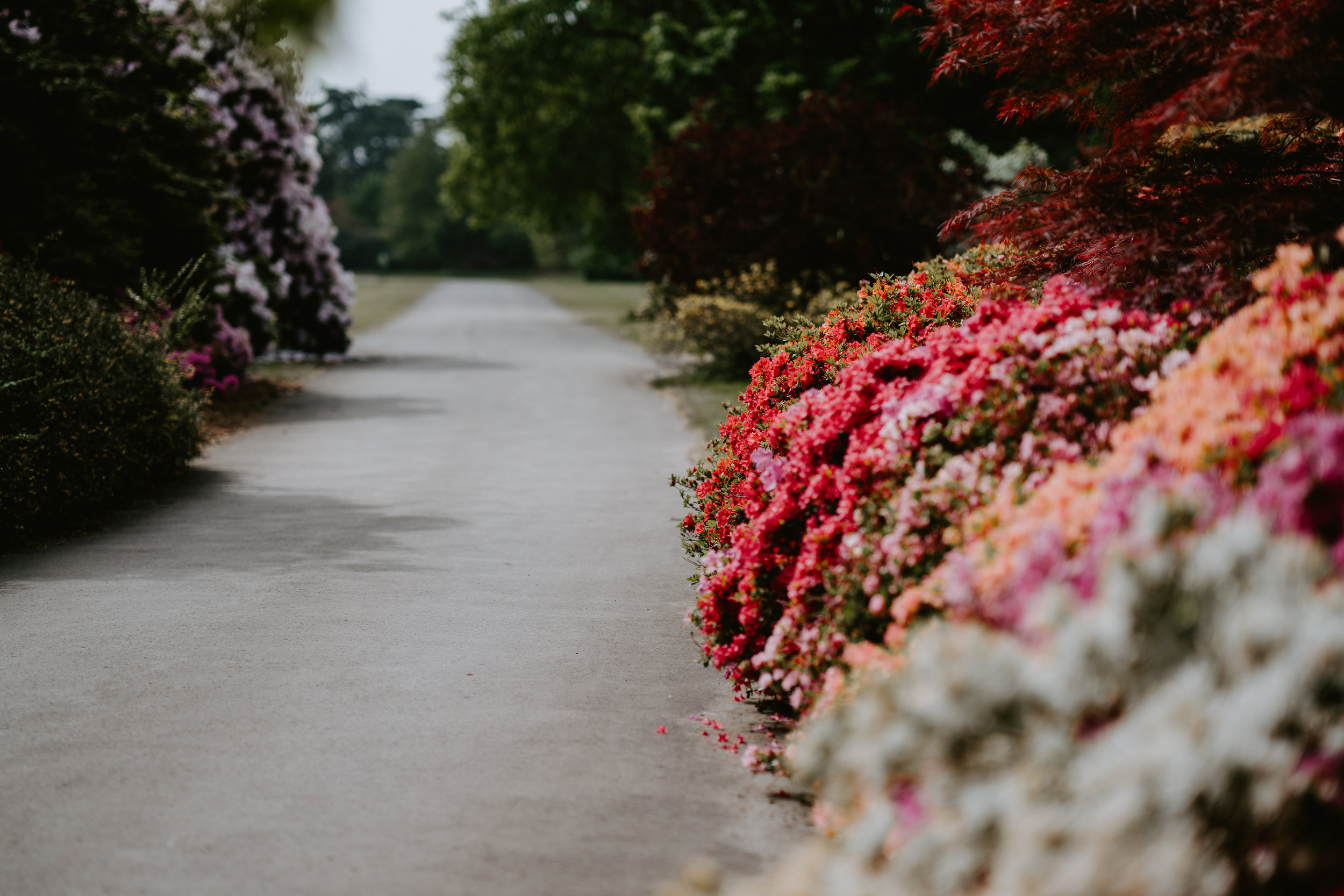 Parks To Visit — City of Rogers, MN