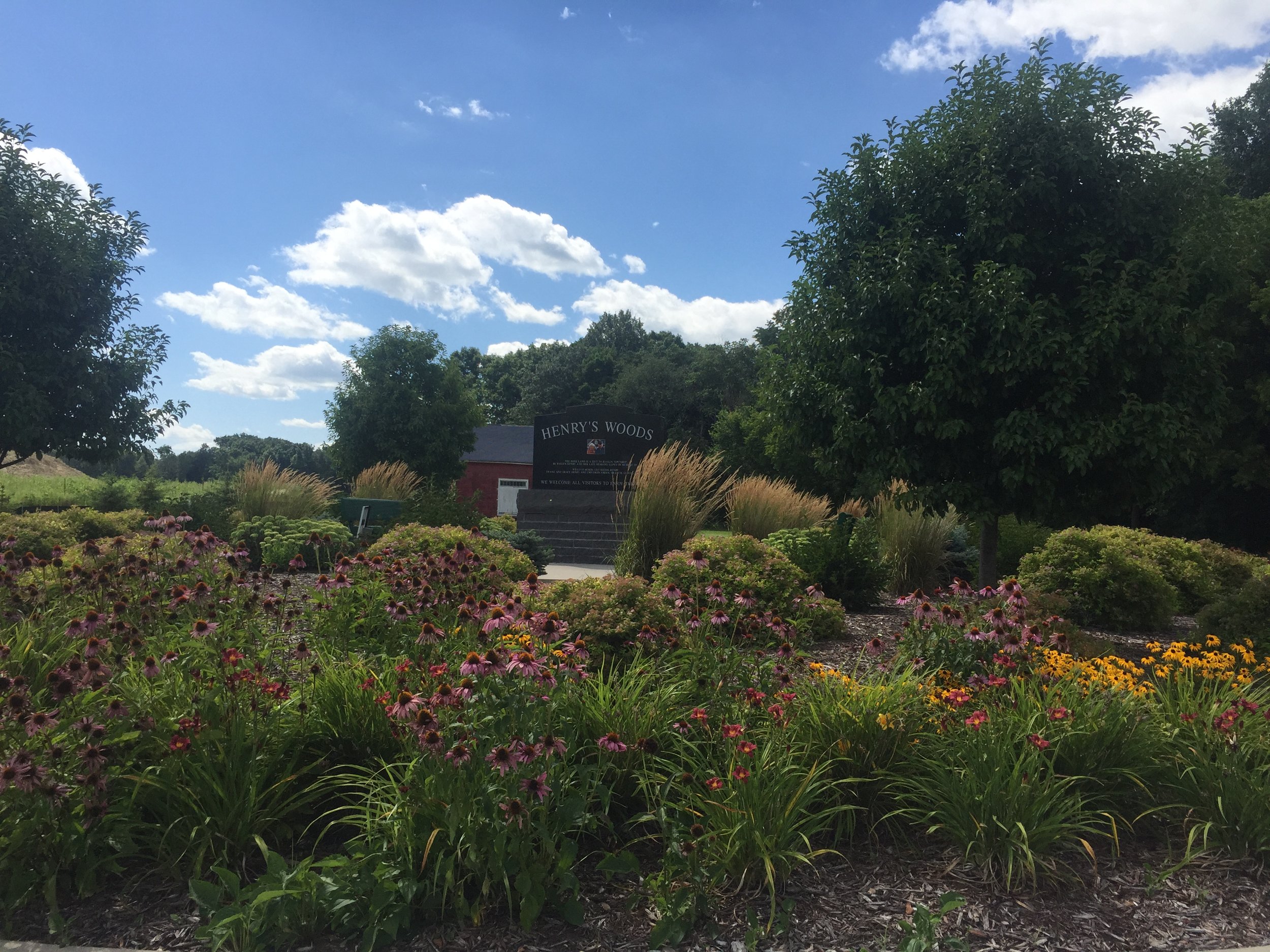 Picture of Henry’s Woods Park