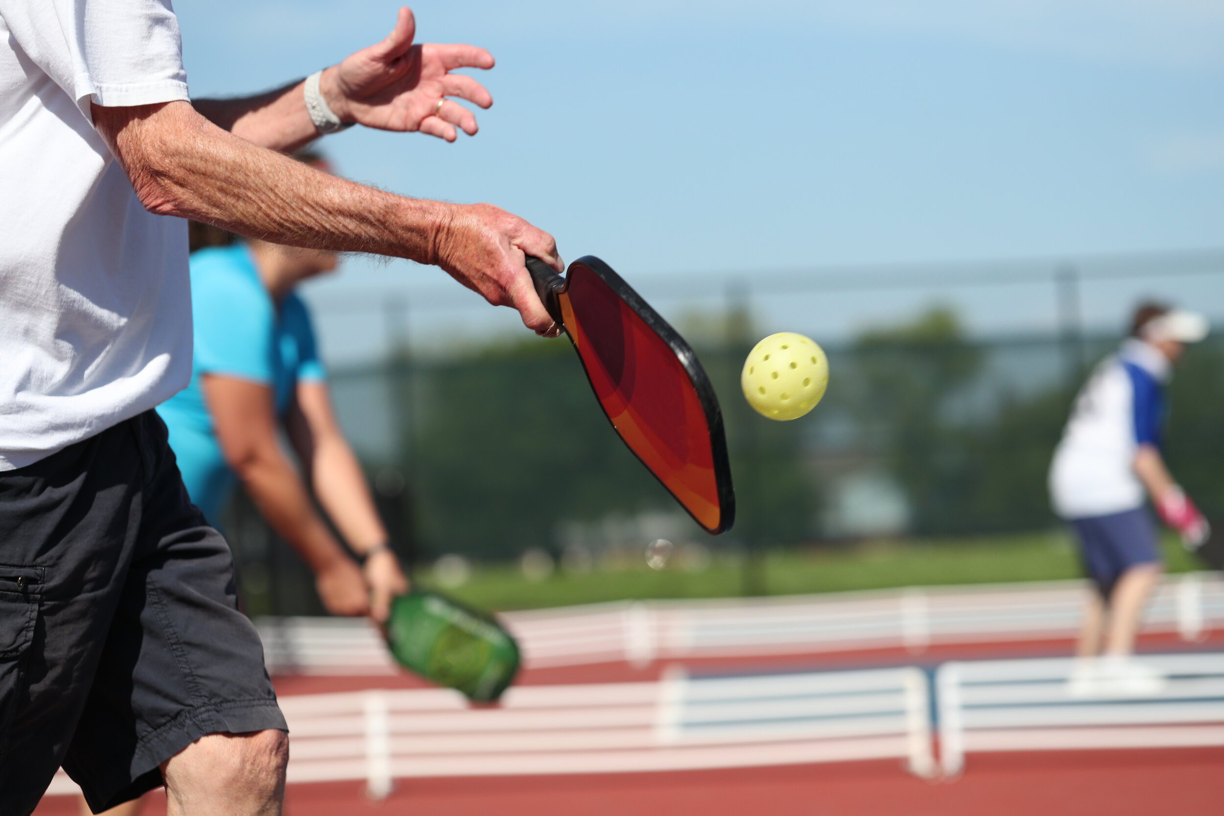 Pickleball City Of Rogers MN pickleball-city-of-rogers-mn