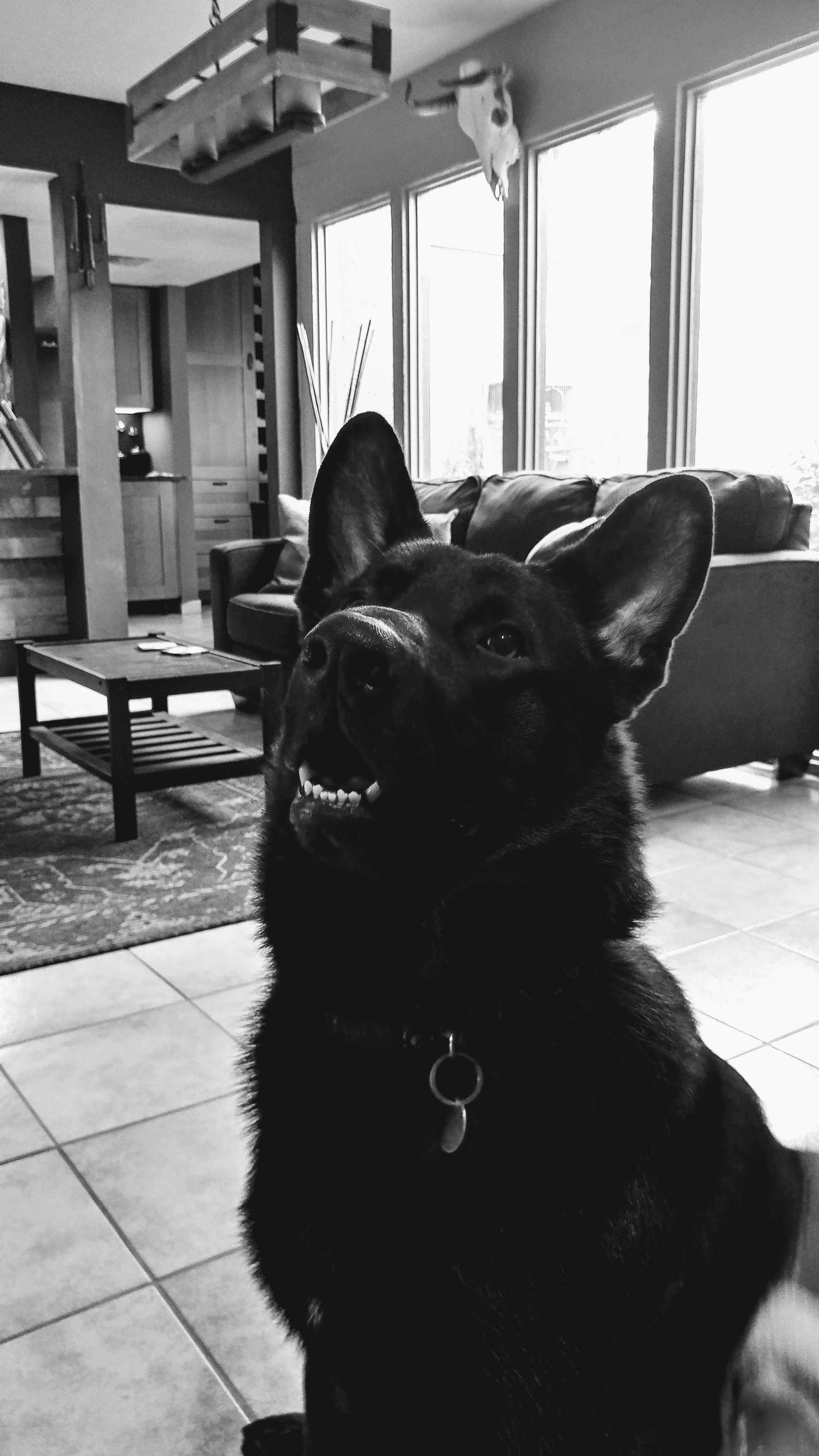 Anubis, the guardian…