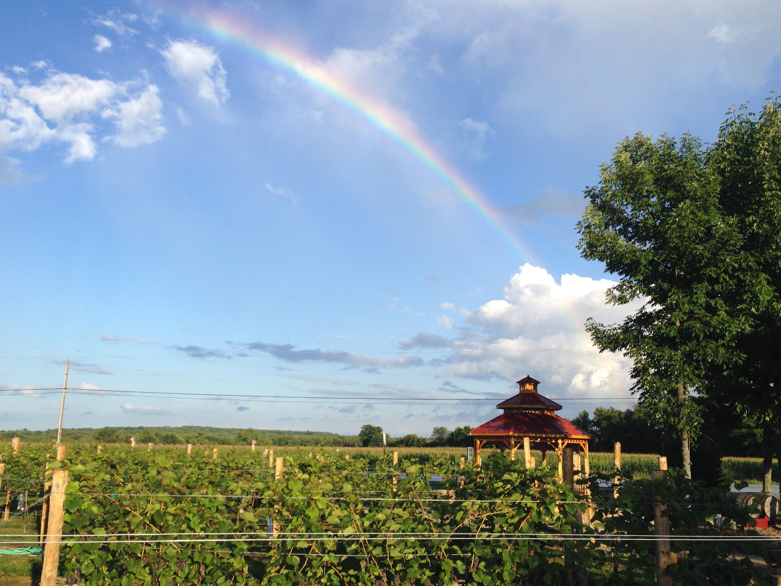 Harbor Ridge sees lots of rainbows during the summer. There’s a reason it’s called Rainbow Ridge!
