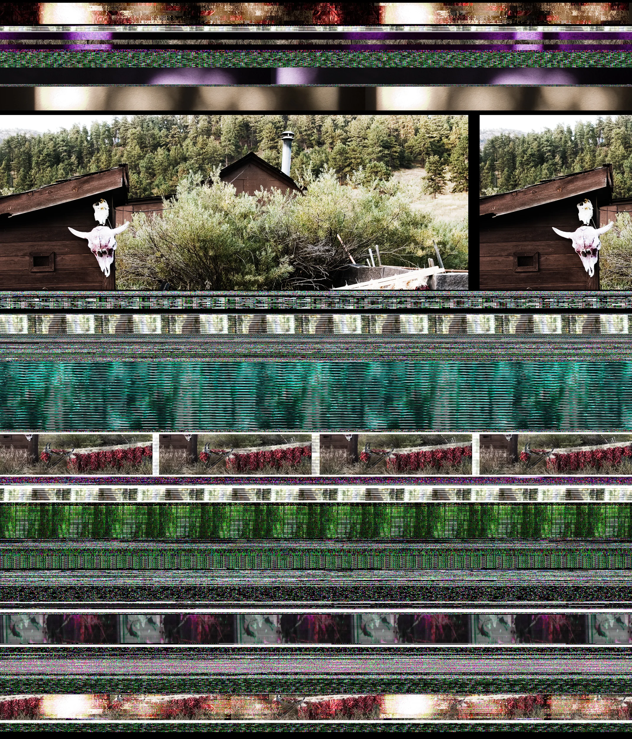 Entropy_1751 (Chili Peppers)