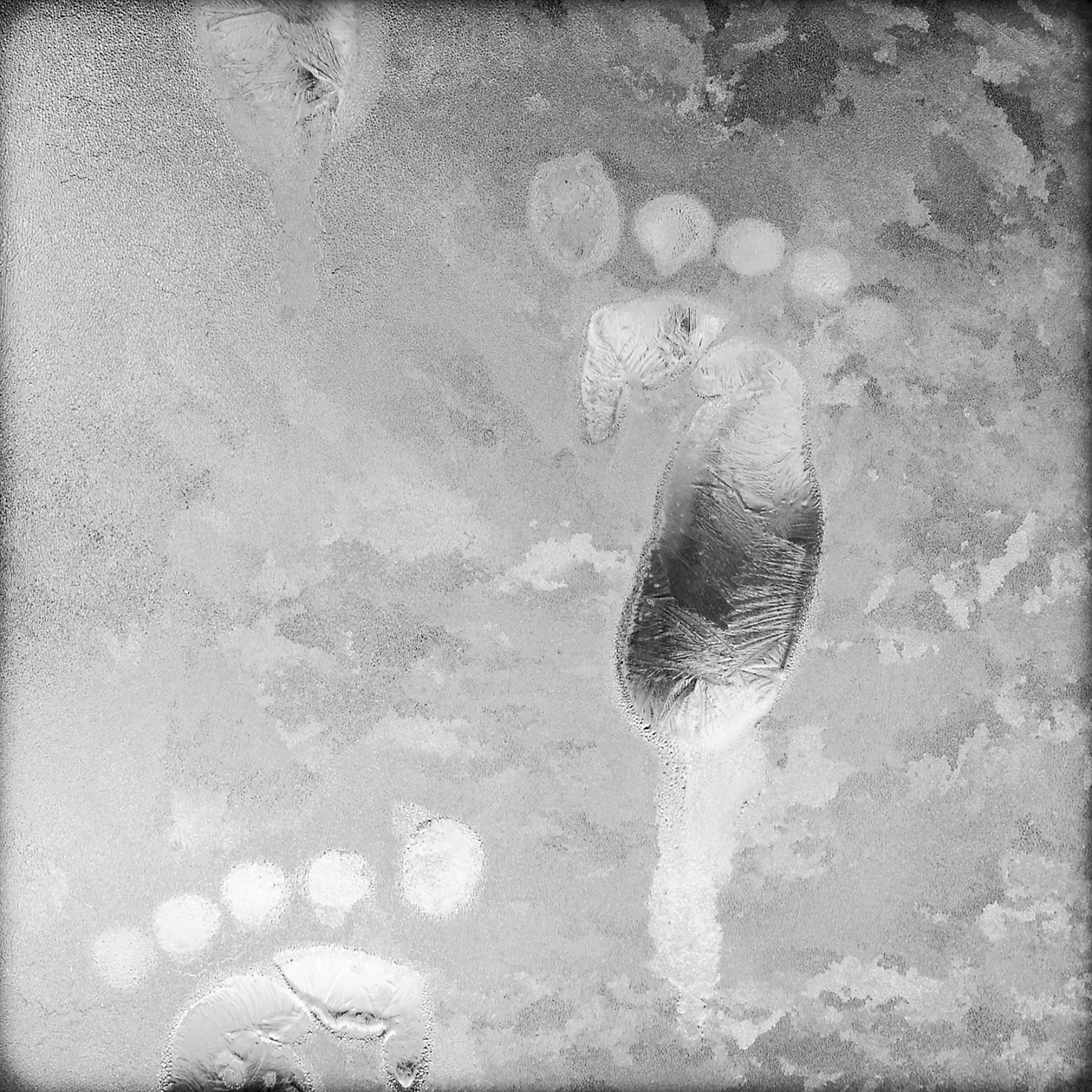 Winter 2004, Ice Prints
