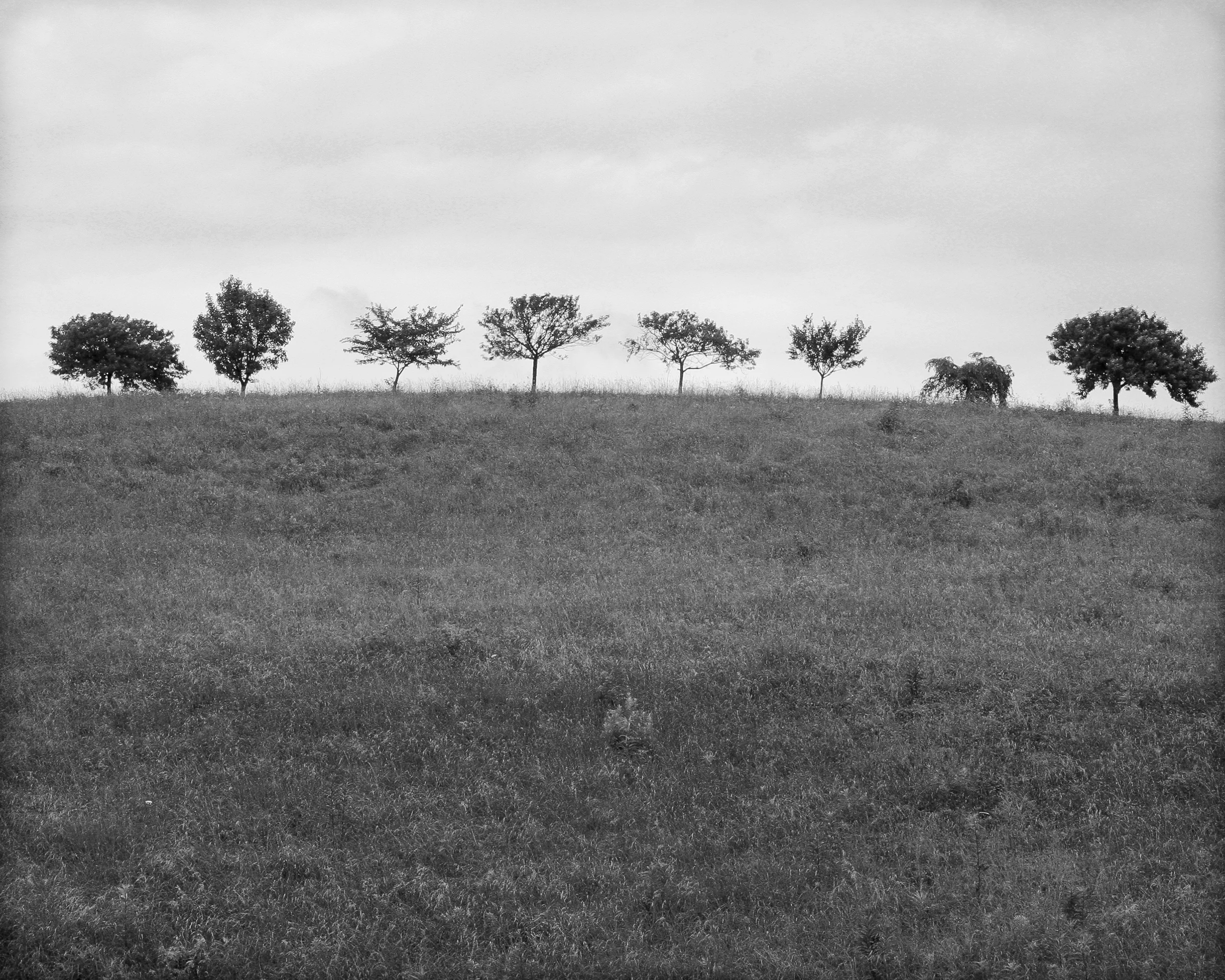 Spring 2004, Horizon