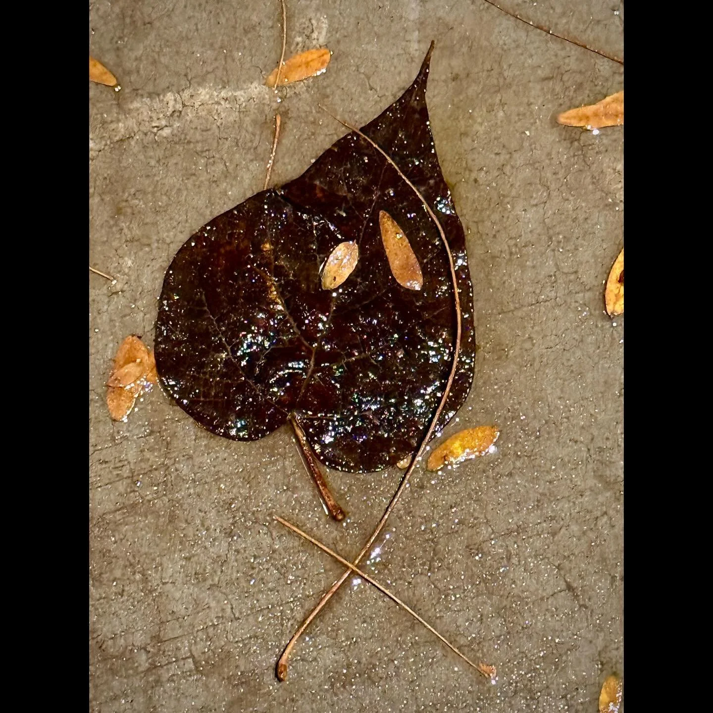 First night in Moab for a star trails photography workshop. It&rsquo;s rainy today&hellip;fingers crossed! 
#brokencrystalball #moabutah #milkywayphotography #roadtripping #goinoutwest #angelafarisphotography