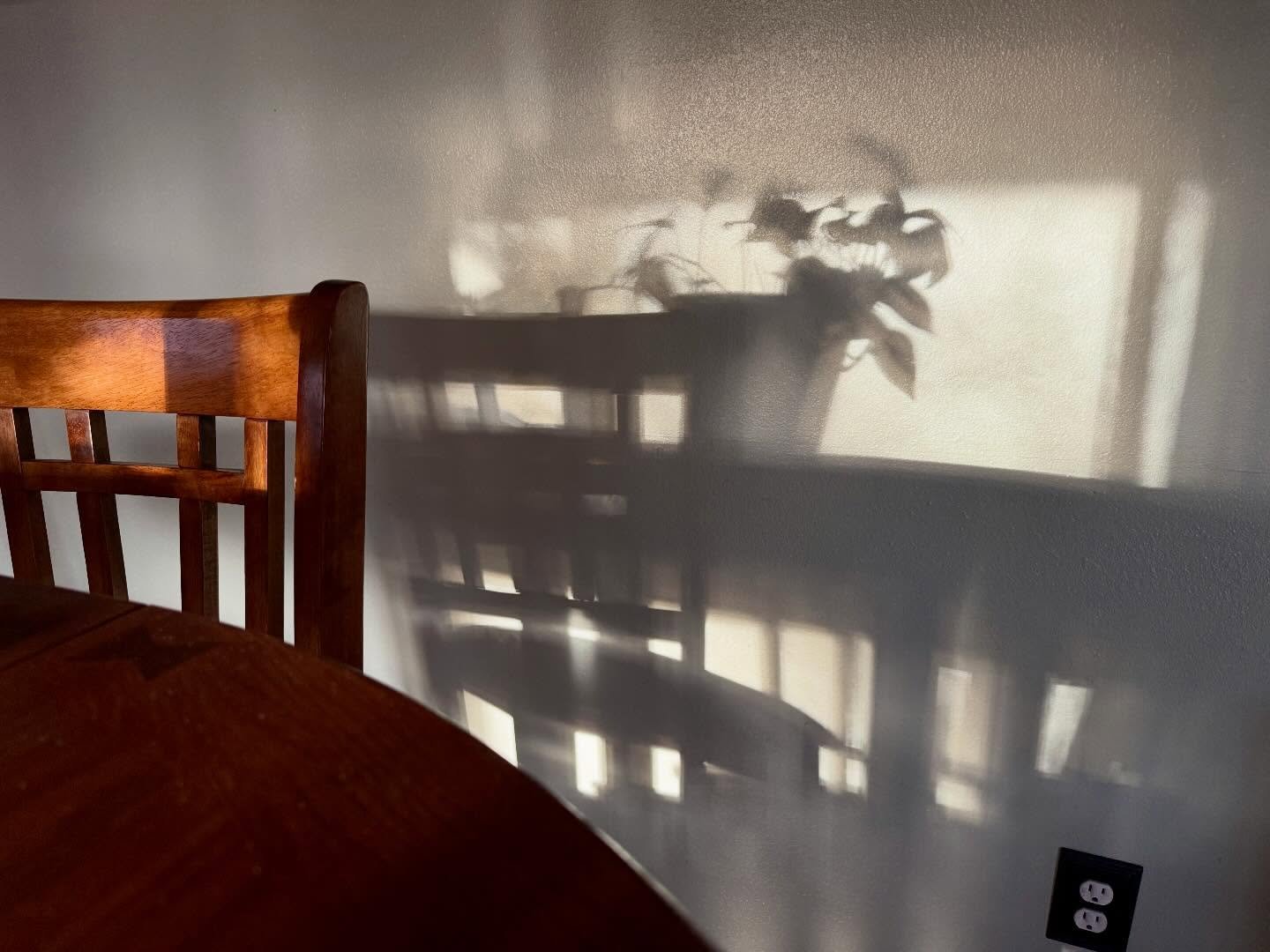 Just another scene of beautiful light. 
#dailylight #domesticlight #angelafarisphotography