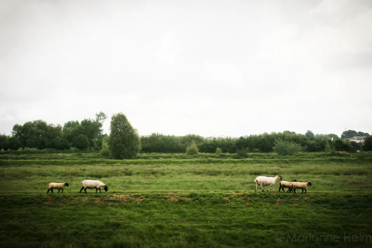 •EnglandByTrainMarianneHelm-084.JPG