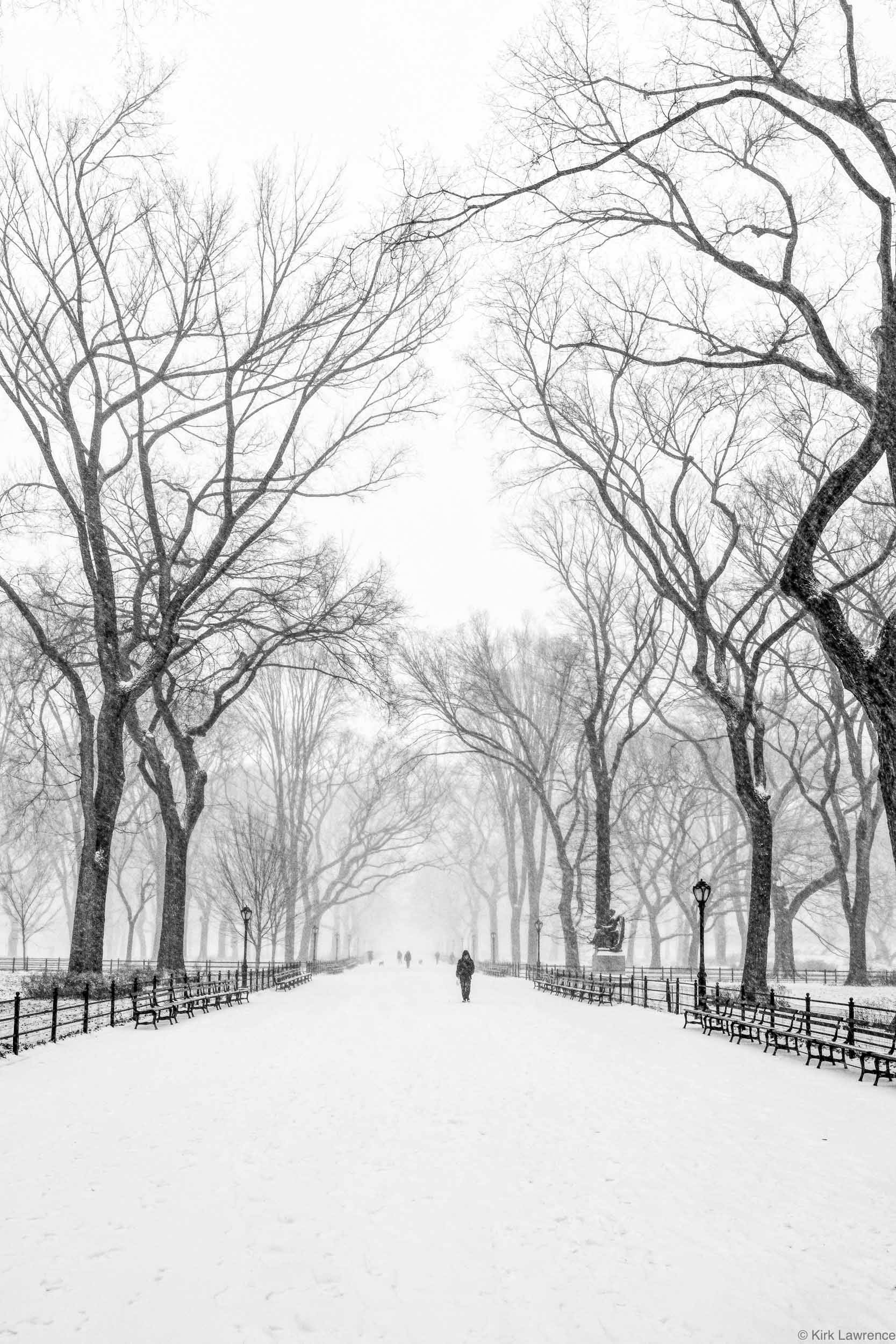 Central_Park_New_York_City_snow_storm.jpg