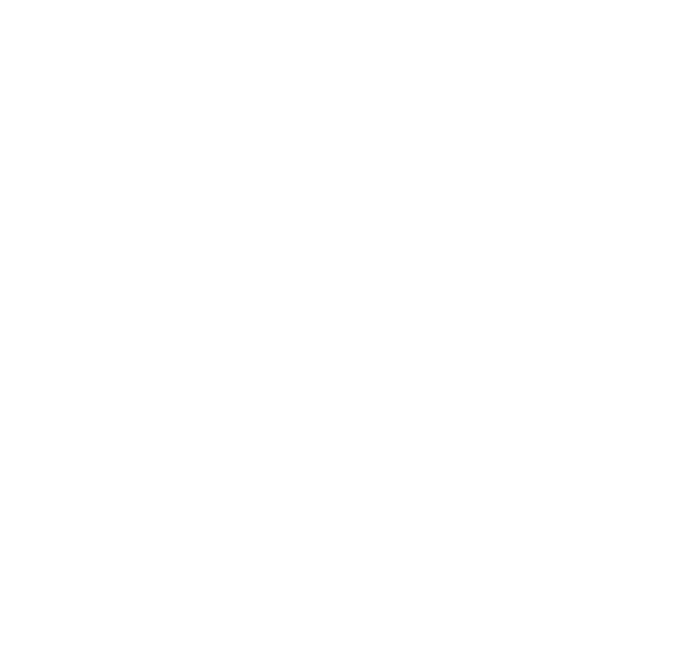 High School Logo