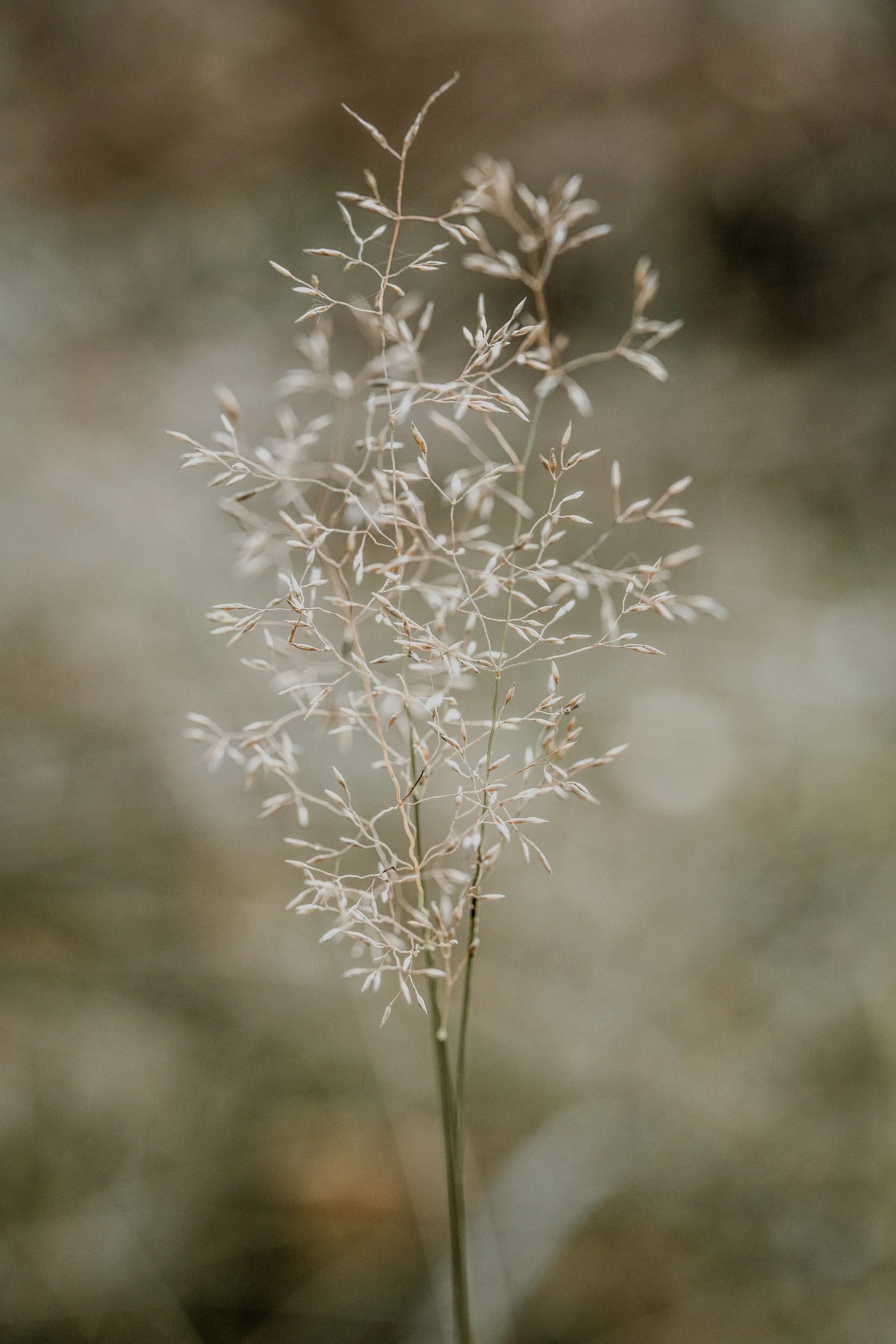 Fragile