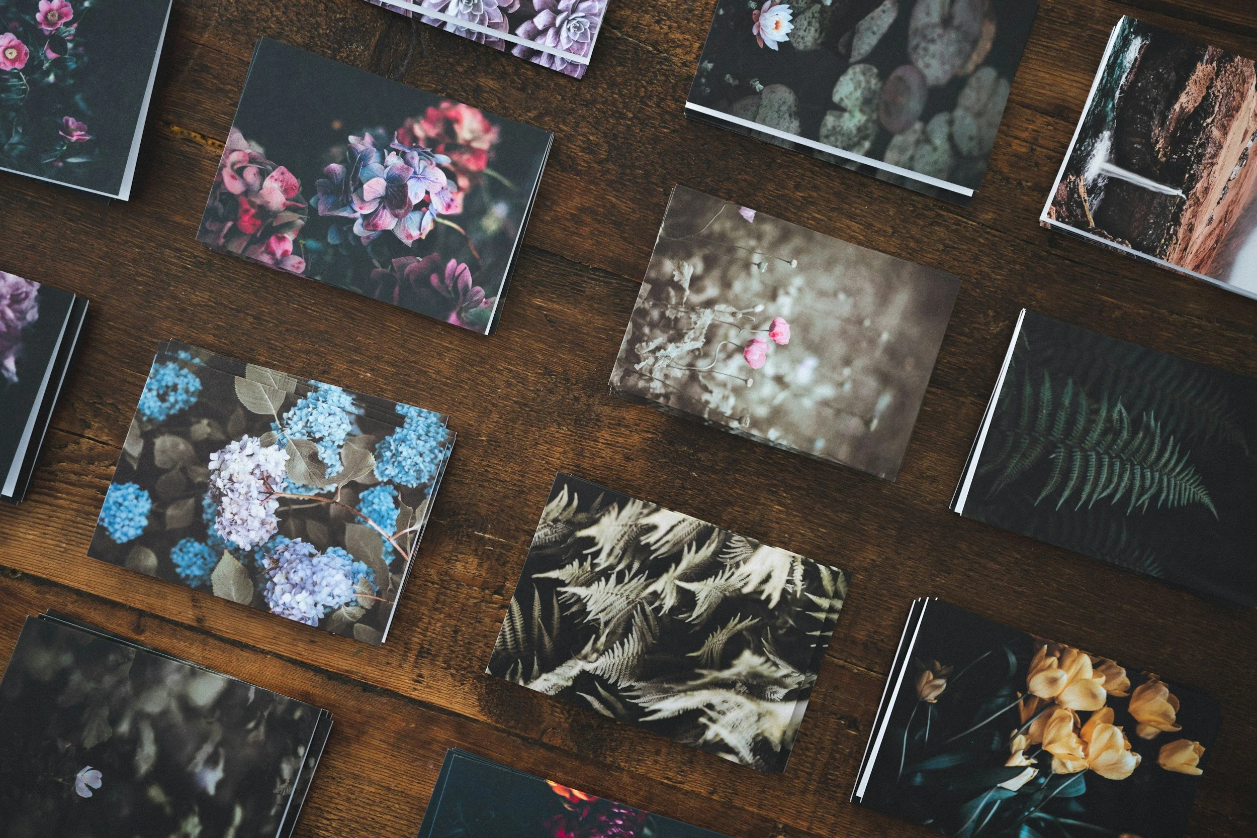 unsplash-image-EvBPSTn-p5U.jpg