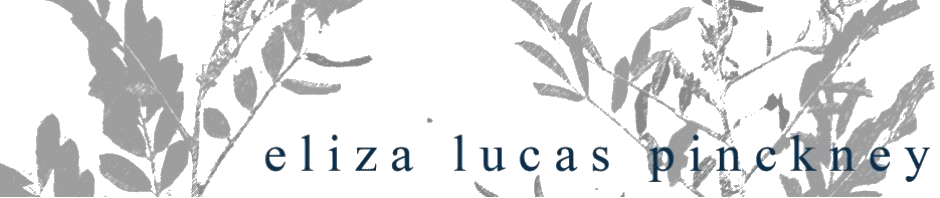 Banner Transparent.png