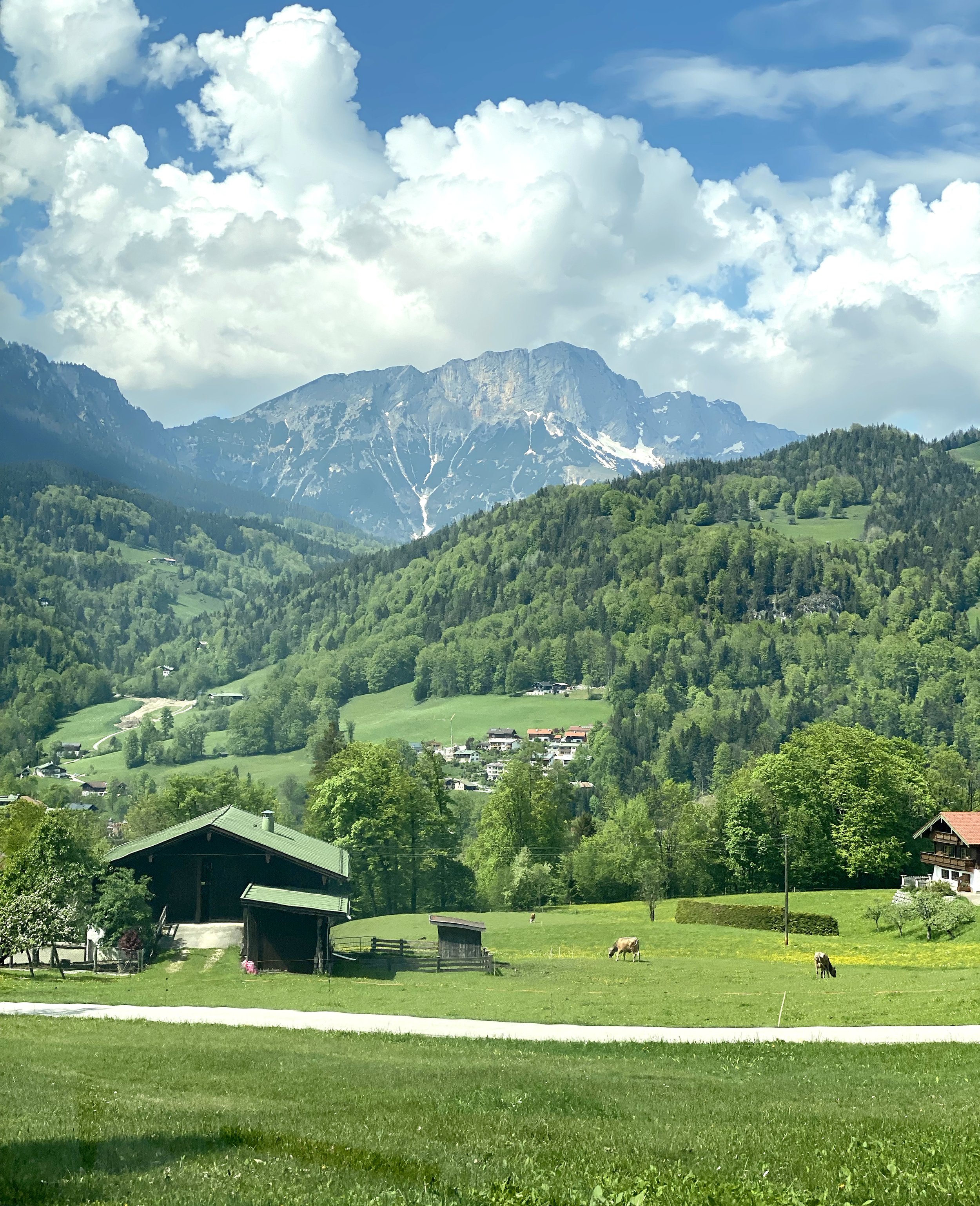 The Austrian Alps