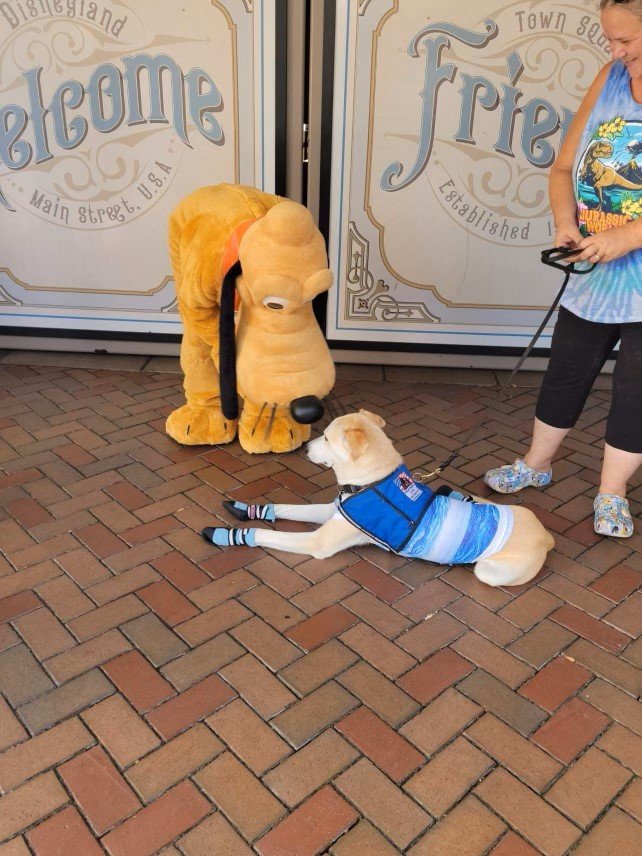 Sarge and Pluto 4.jpeg