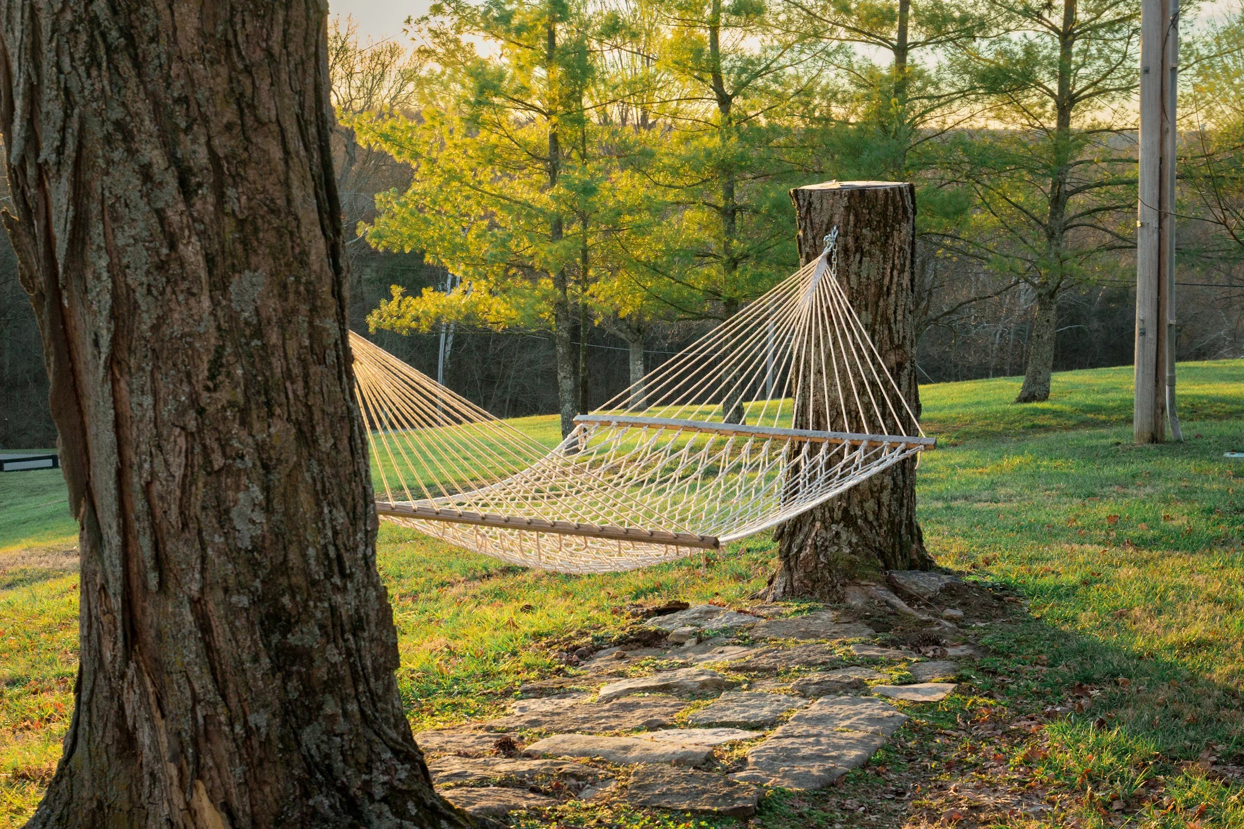 Hammock
