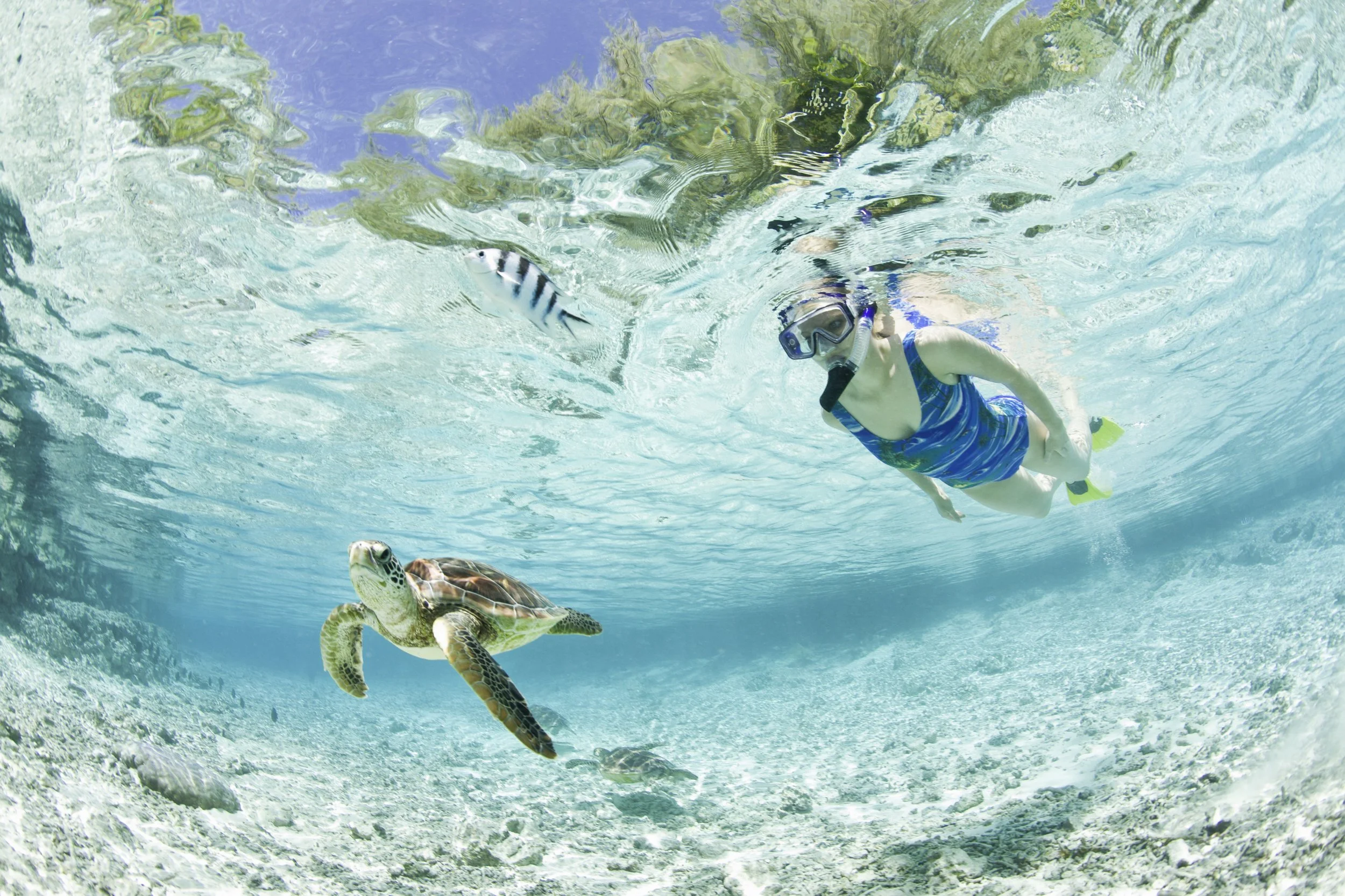 The Westin Bora Bora