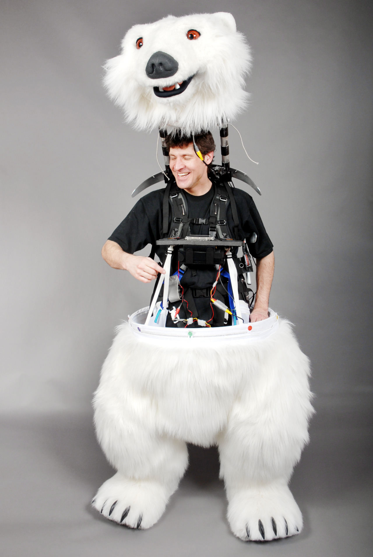 polar bear1.jpg